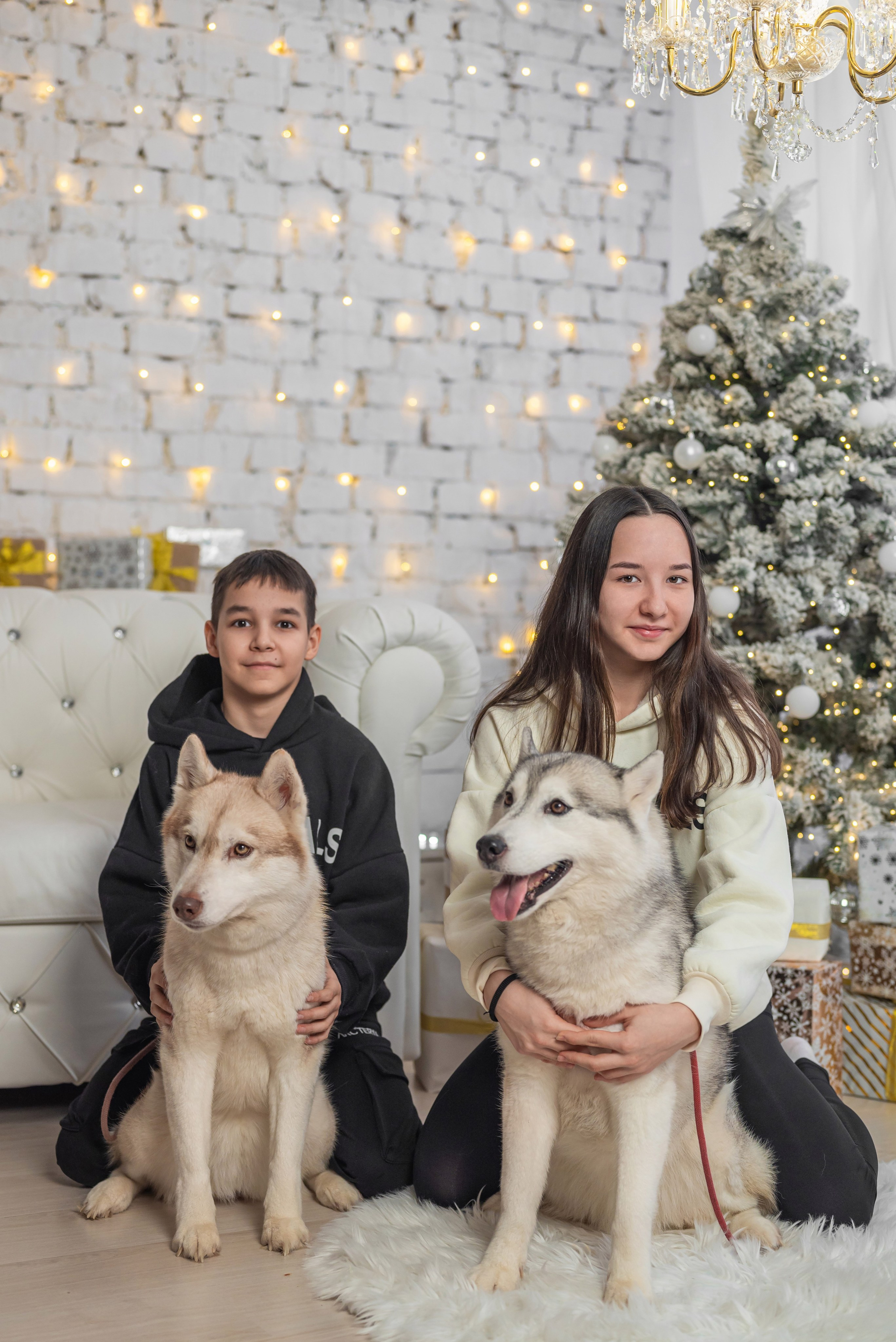 Фотопроект с хаски. Фотограф в городе Салават
