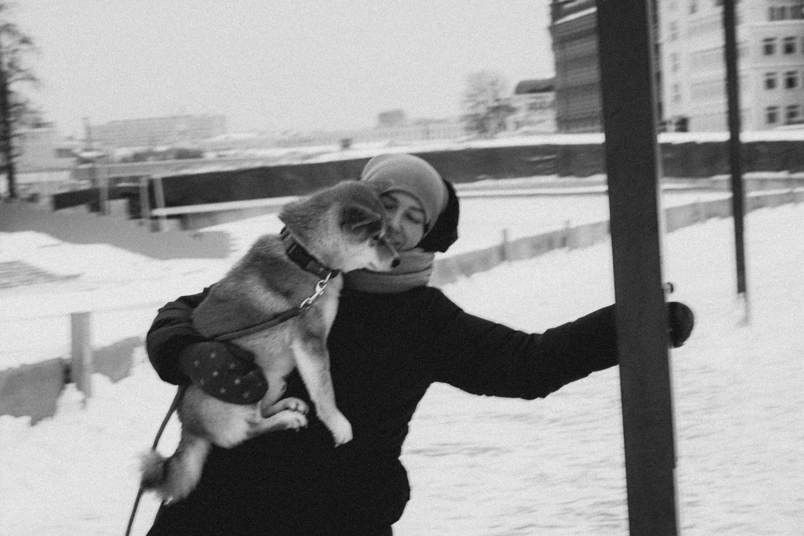 Настя и Ронин