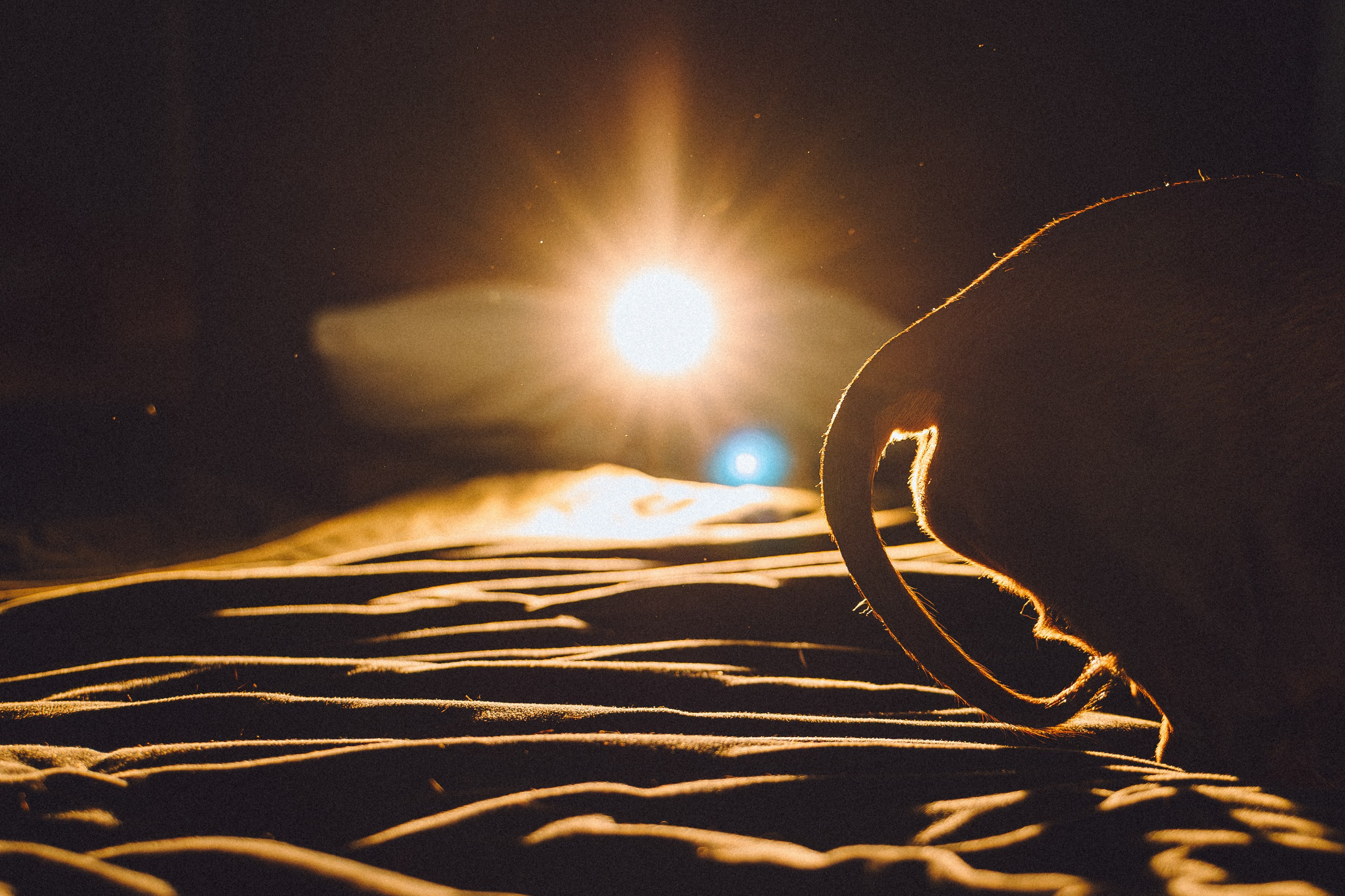 Кокос, Света, Динара и Вилли