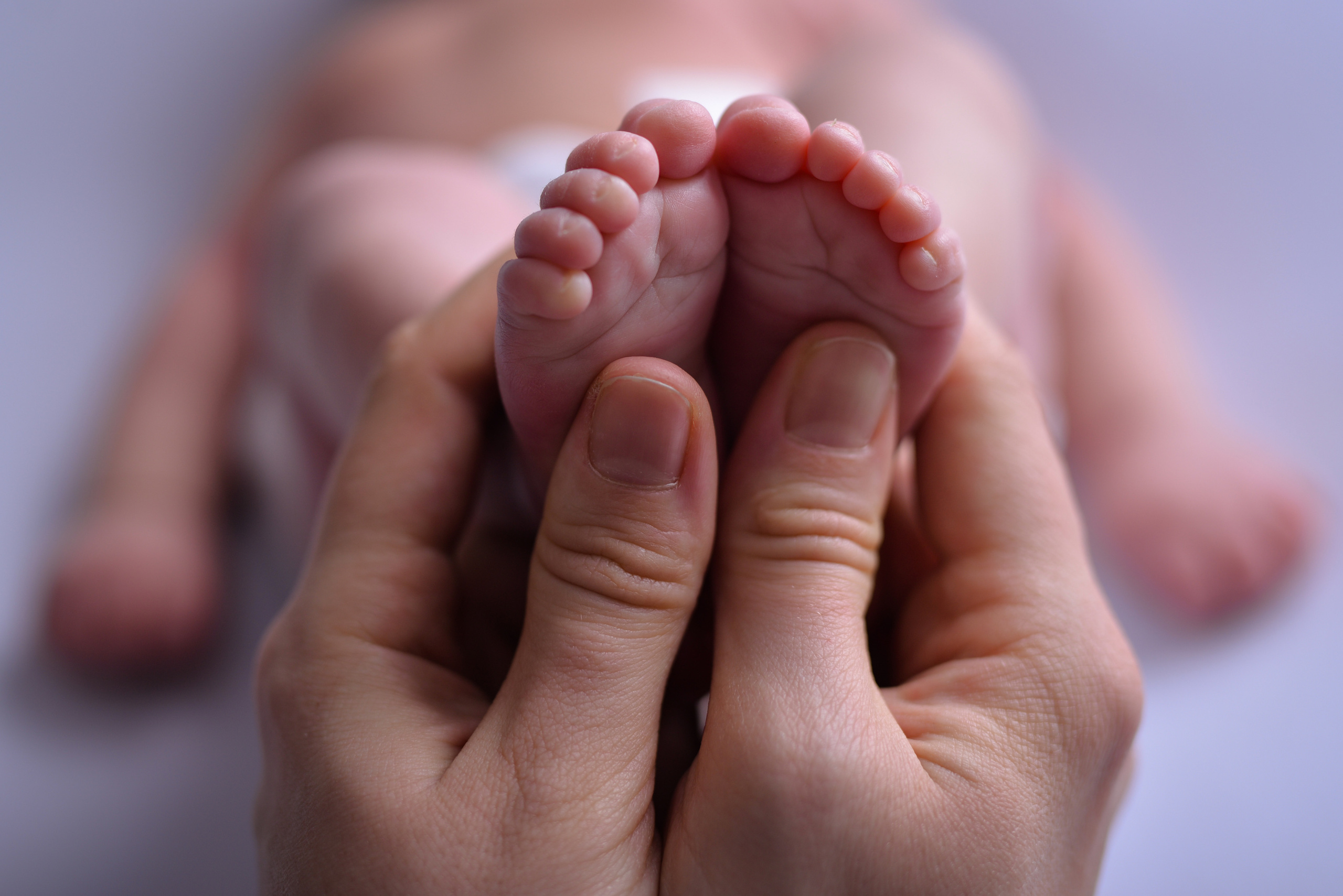 Макро кадры. Детский и семейный фотограф Дарья Плеханова г Тверь