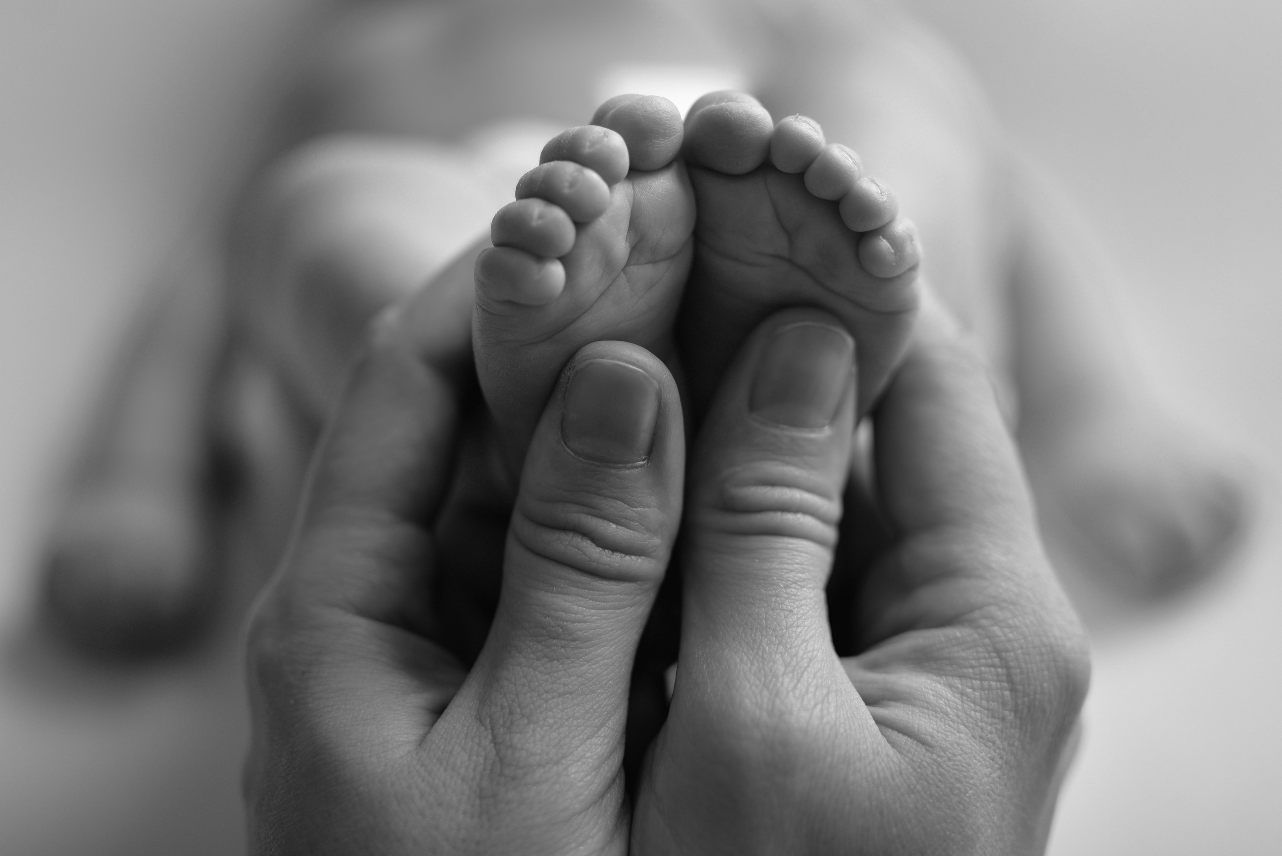 Макро кадры. Детский и семейный фотограф Дарья Плеханова г Тверь