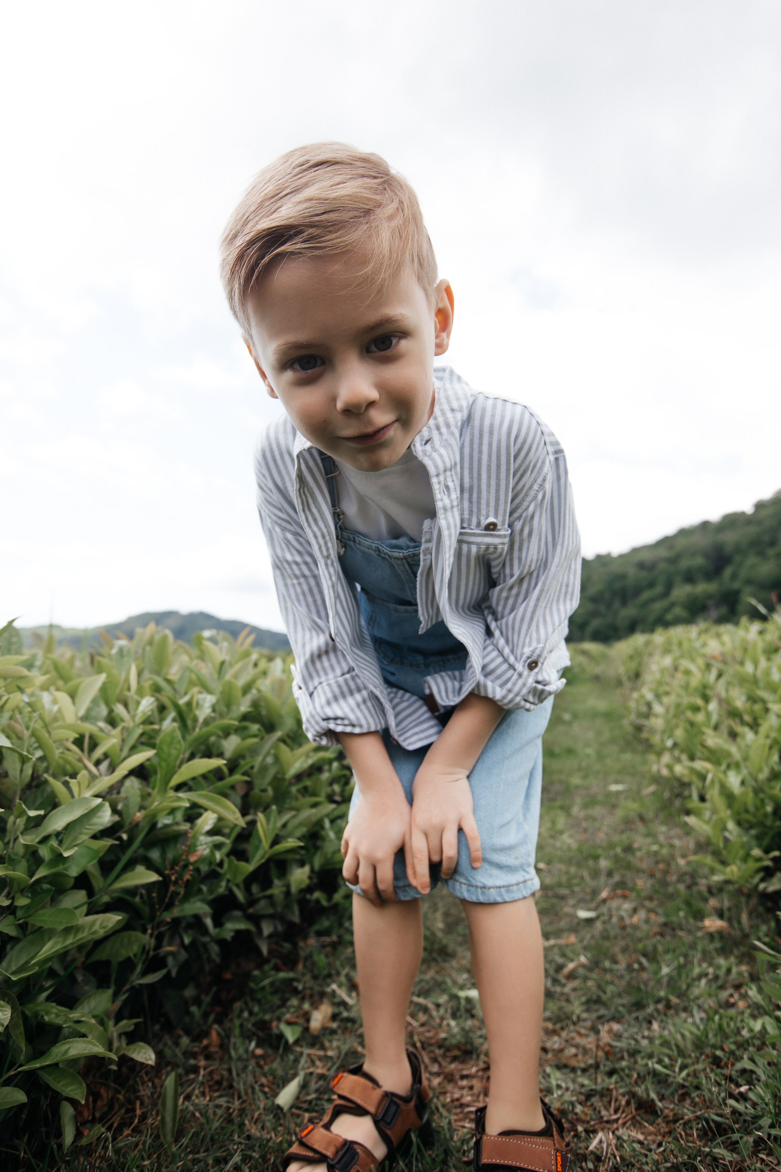 Tea plantation. Efimova Model Agency