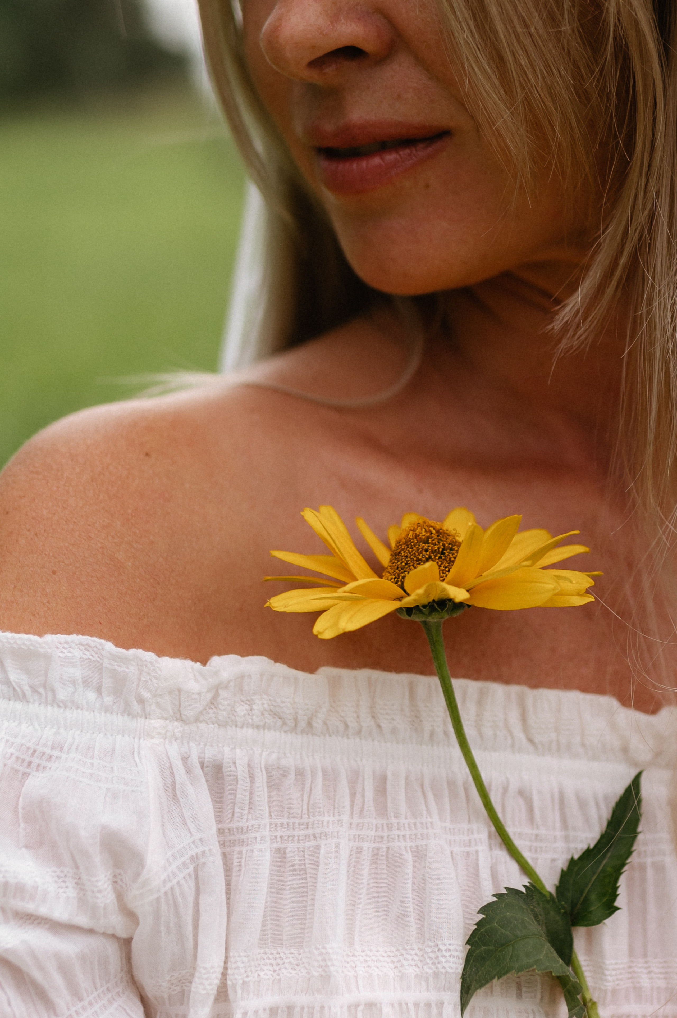В поле с велосипедом. Главная