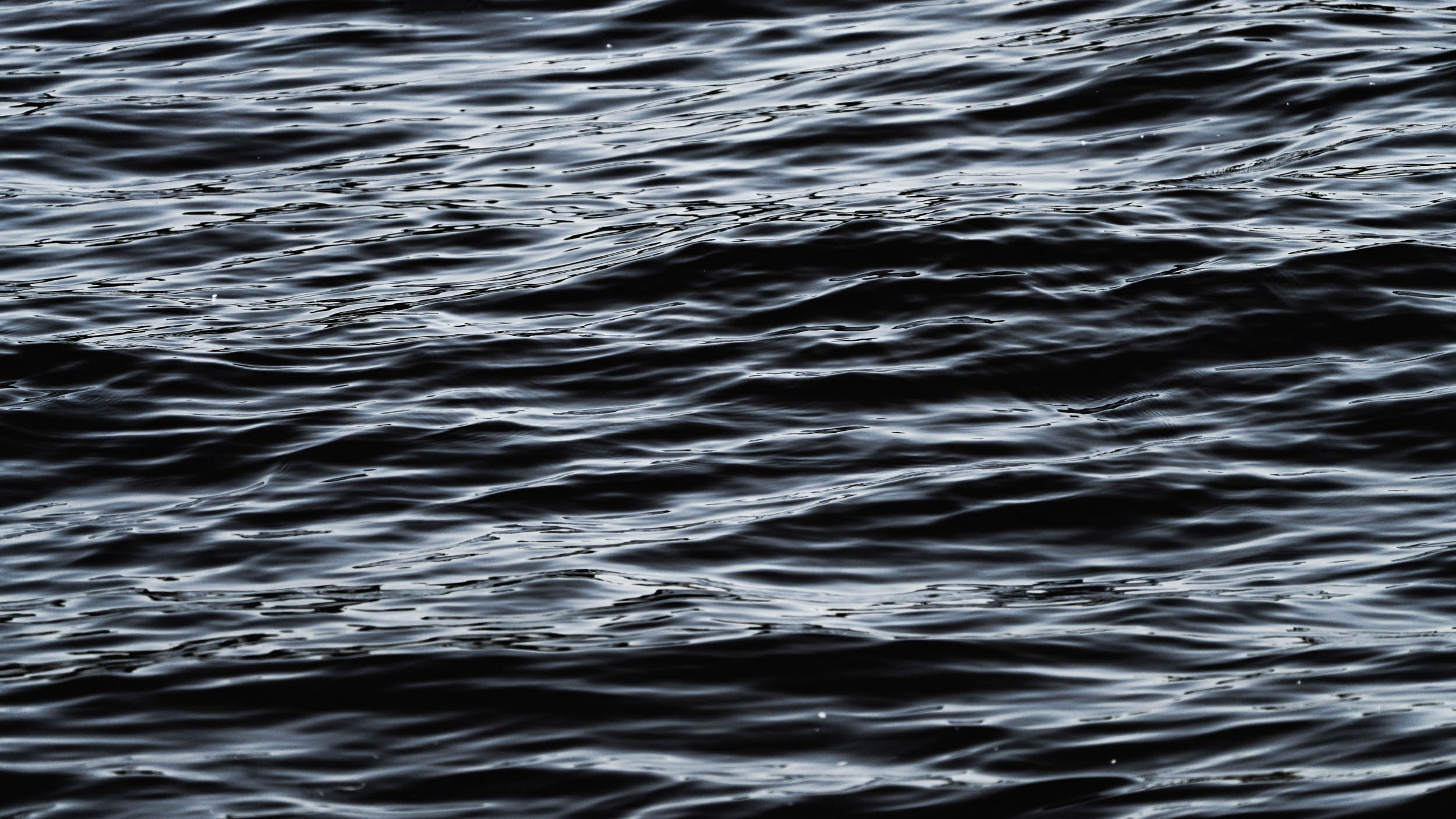 Saint Petersburg. The Andris