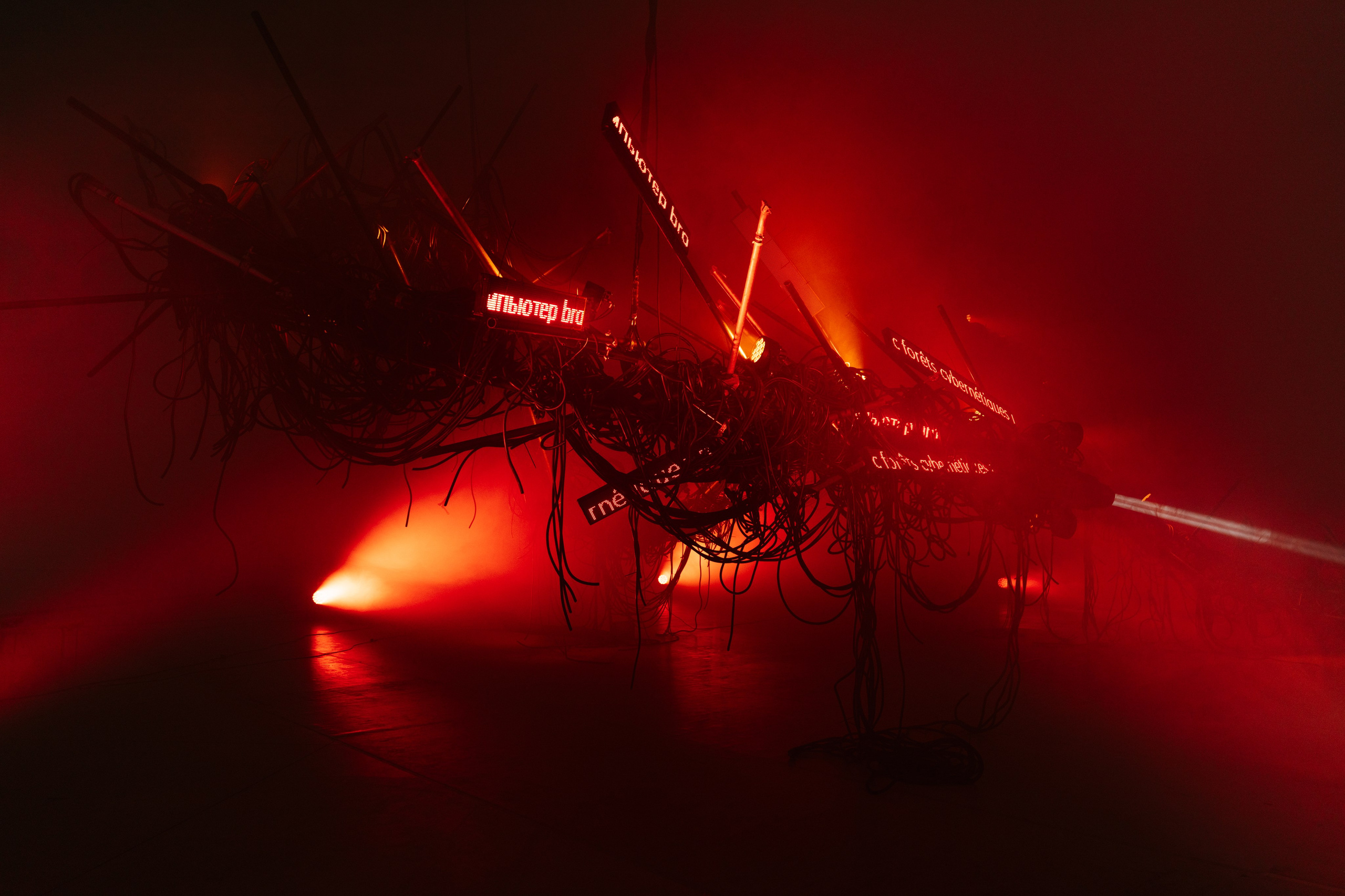 PANTERRA, CHRONOMORPH 001. @tomrus: Рустам Шагиморданов — фотограф