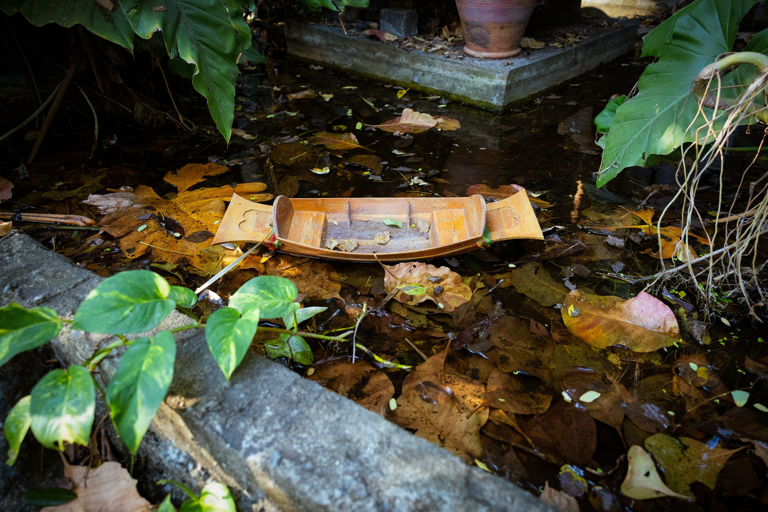 Таиланд (зима 2025). Фотограф Виноградов Константин