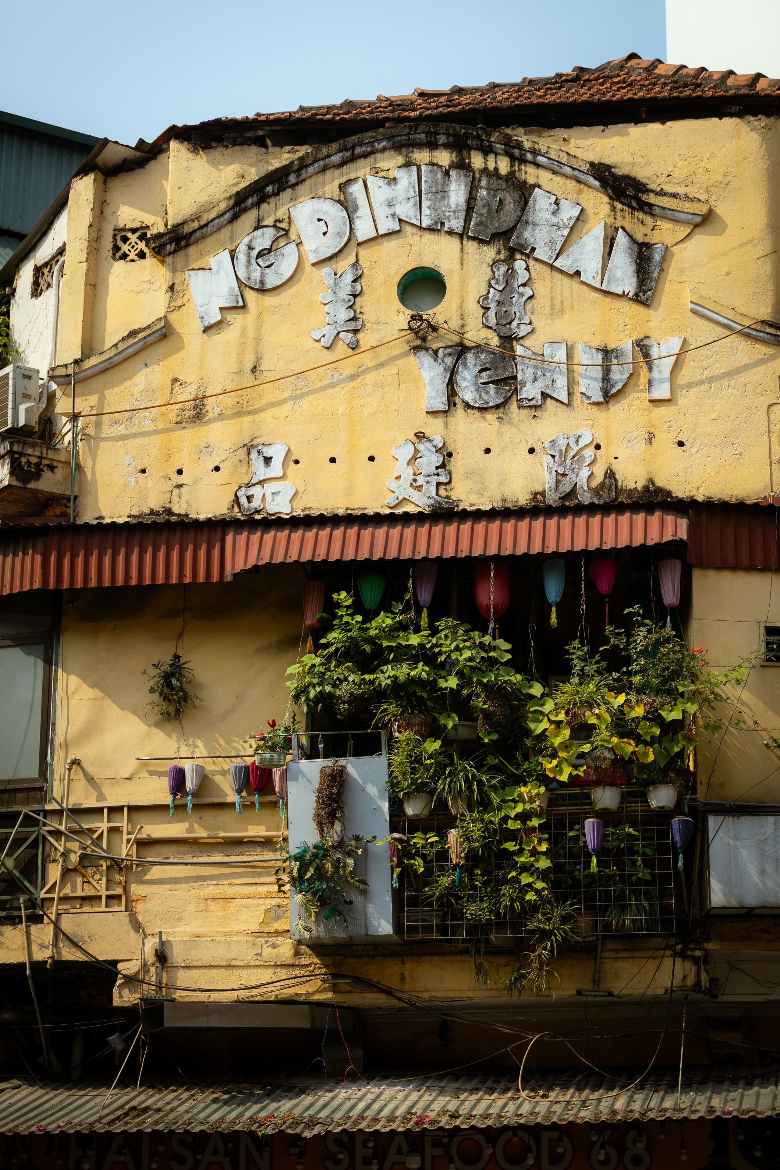 Вьетнам (зима 2025-2026). Фотограф Виноградов Константин