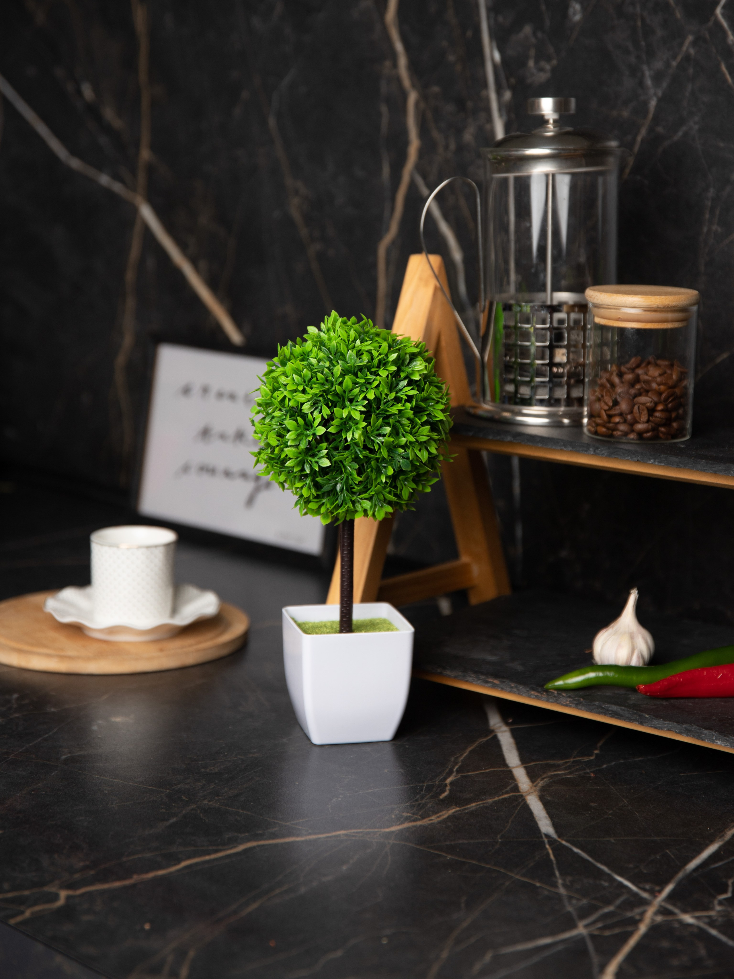 Декоративные деревья. Коммерческий фотограф в Санкт-Петербурге (СПб) Екатерина Панчёха, Панчёшка