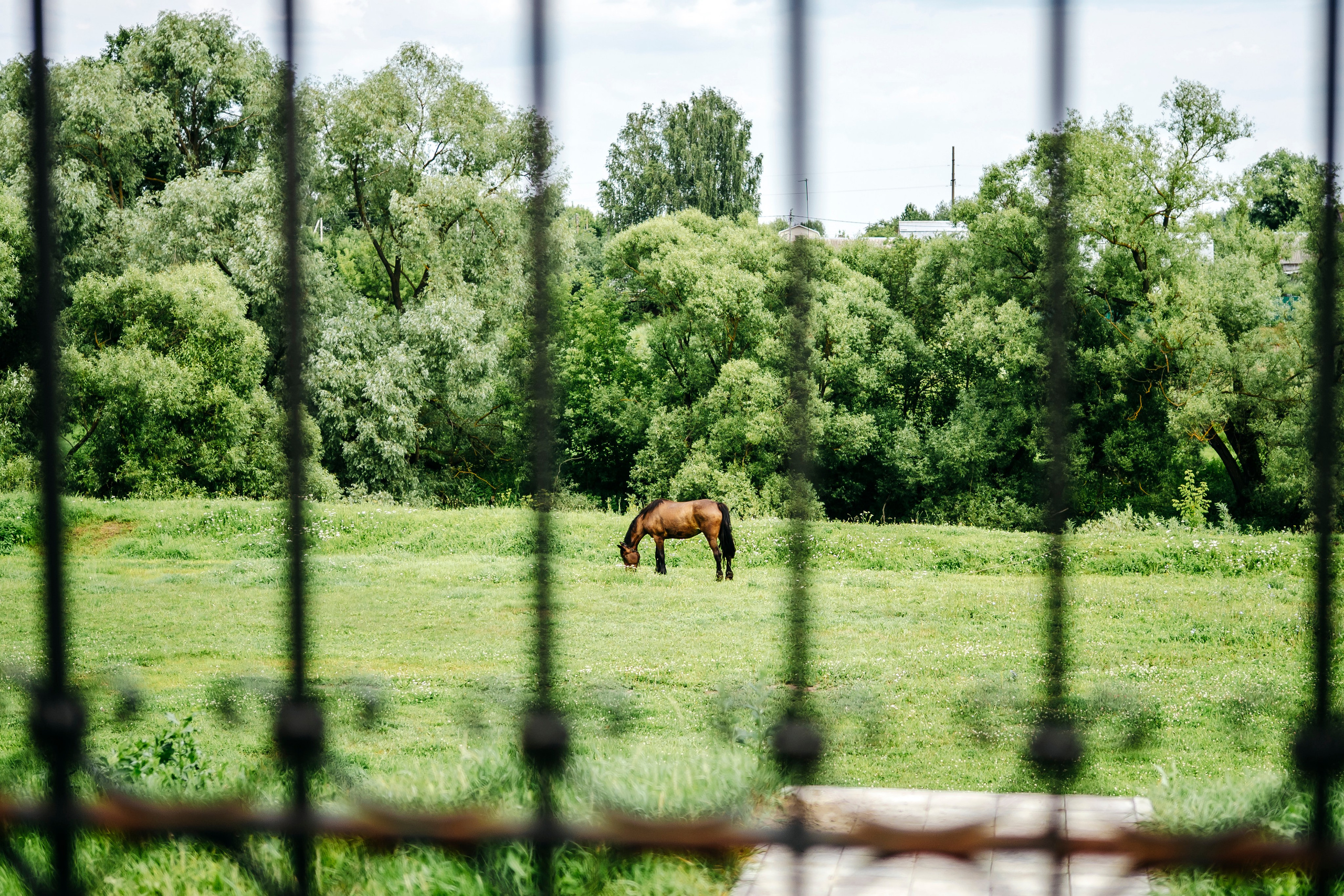 Крещение Храм Шкинь. Фотограф самых запоминающихся моментов Вашей жизни