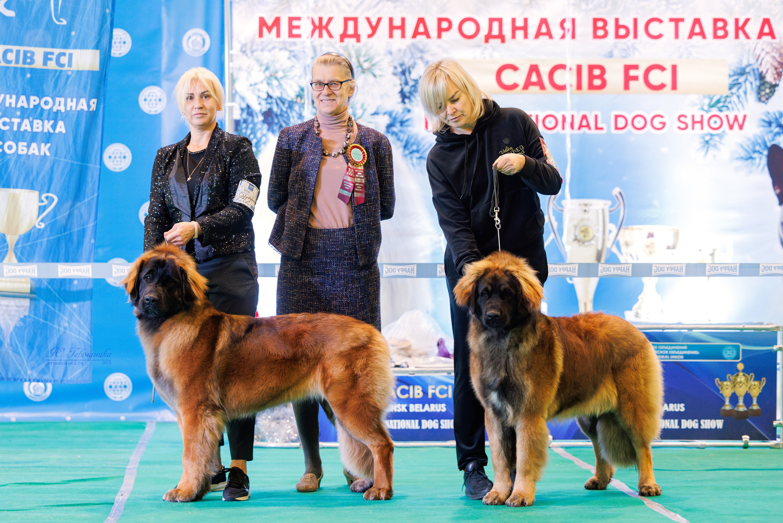 Минск 23.11.2024. Фотограф-анималист Юлия Германика