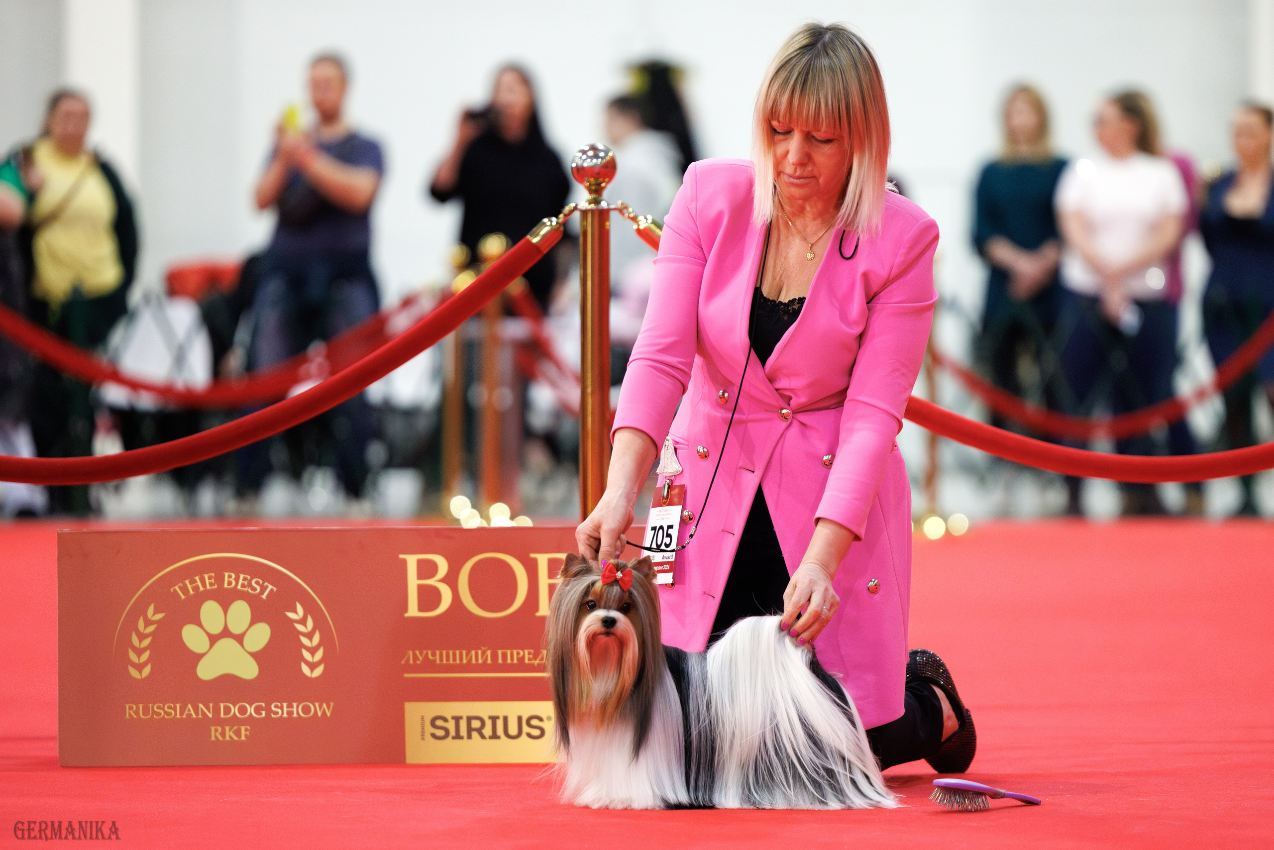 Лучшие Собаки России 17-18.02.2024. Фотограф-анималист Юлия Германика