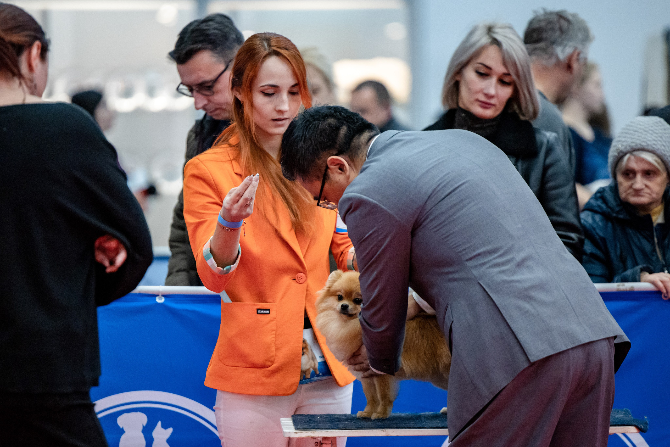 Нижний Новгород 21-22.10.2023. Фотограф-анималист Юлия Германика