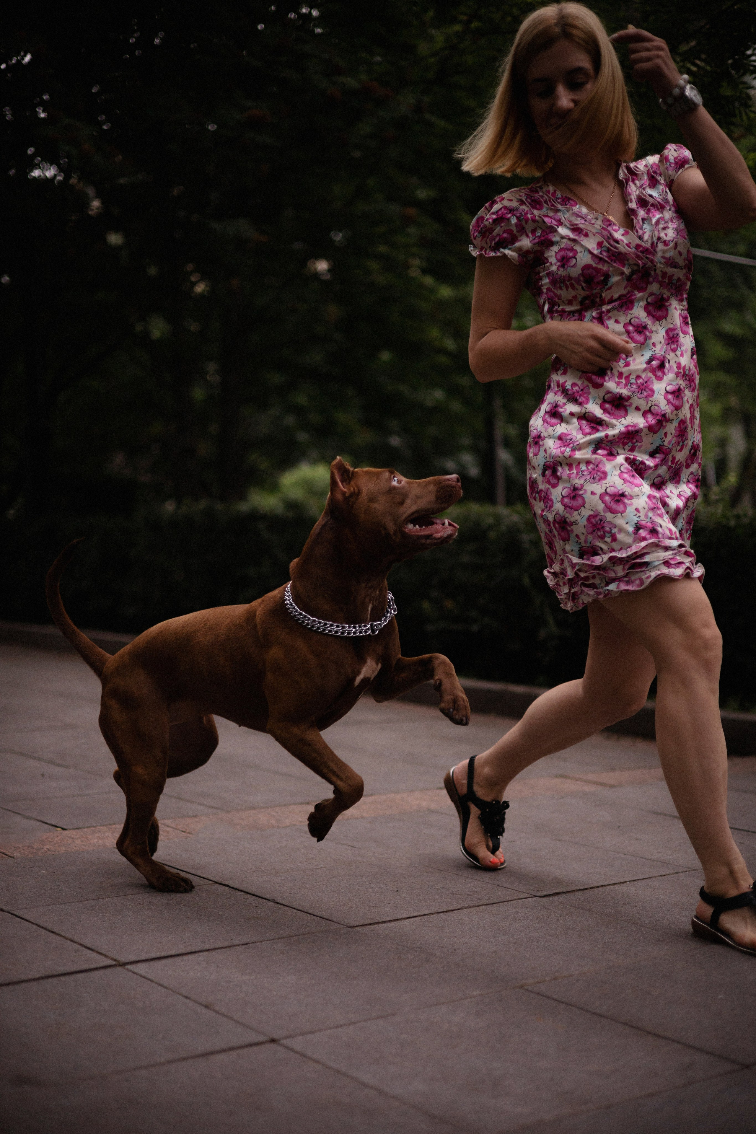 Оля и герда. Фотограф — анималист Владивосток, Алина