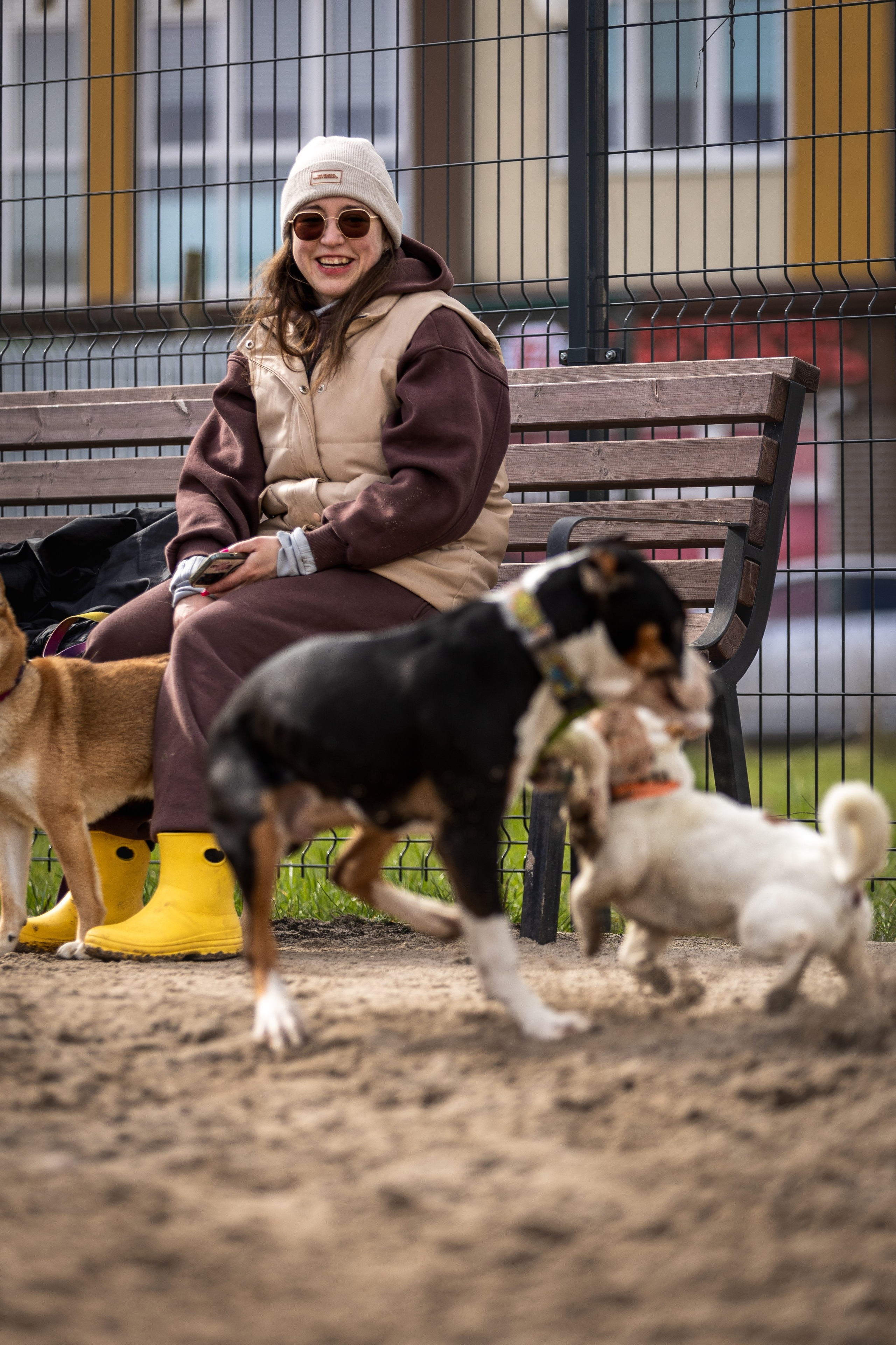 Догтуса 24.03.2024. Ирина Голомб|Фотограф-анималист в  Сочи и Калининграде