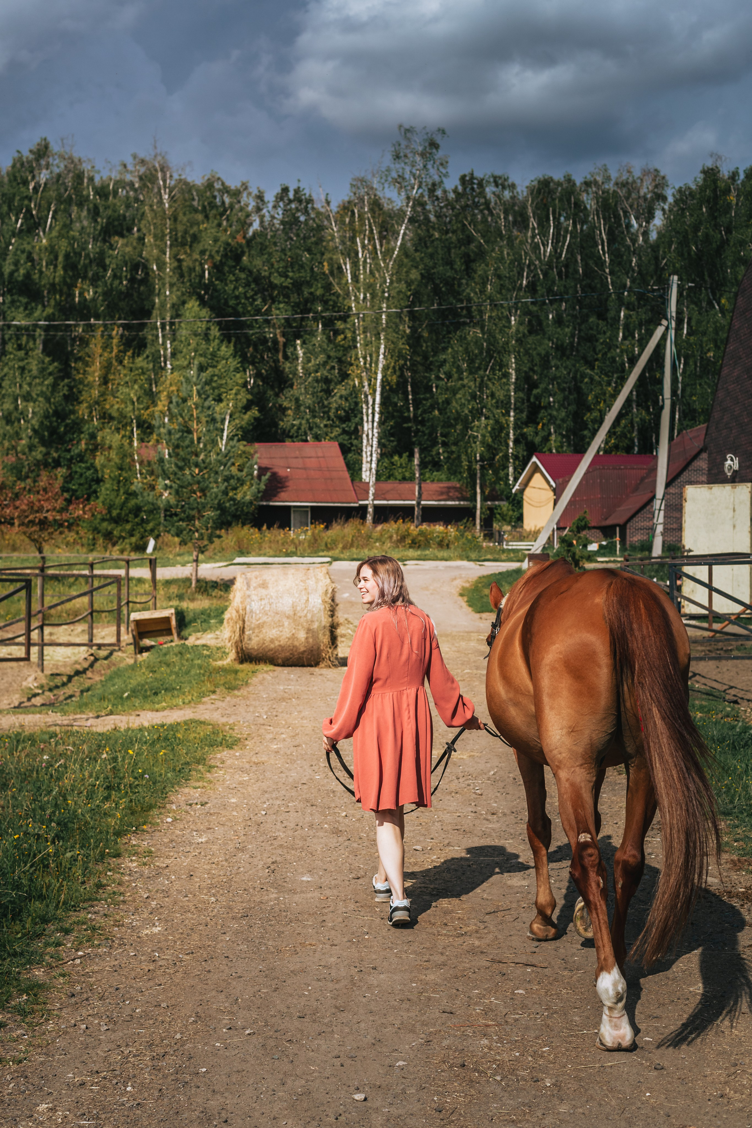 Экспресс фотопрогулка на конюшне. Фотограф-анималист Татьяна Степанова