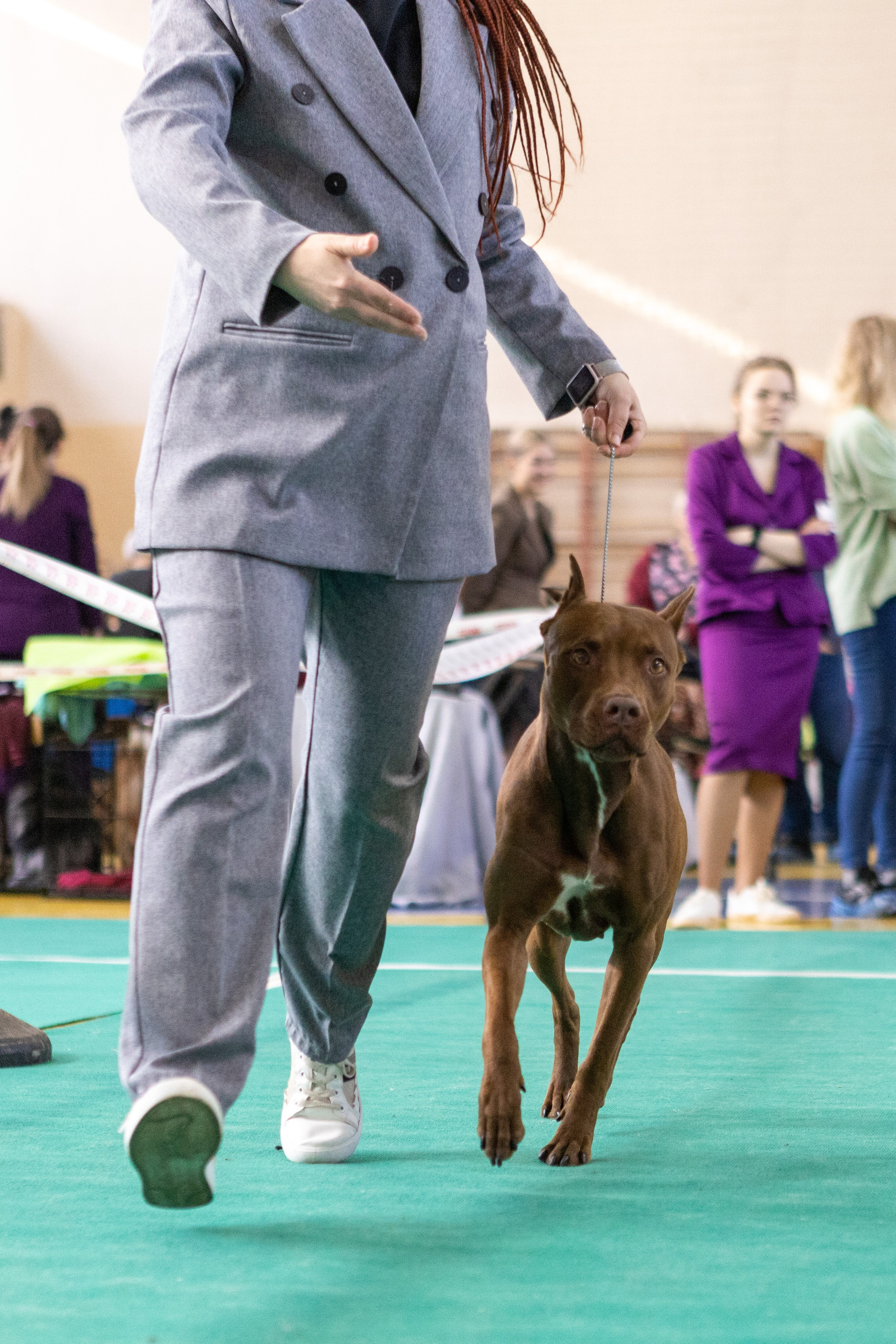 Собаки. Фотограф Яна Матвеева в Ижевске