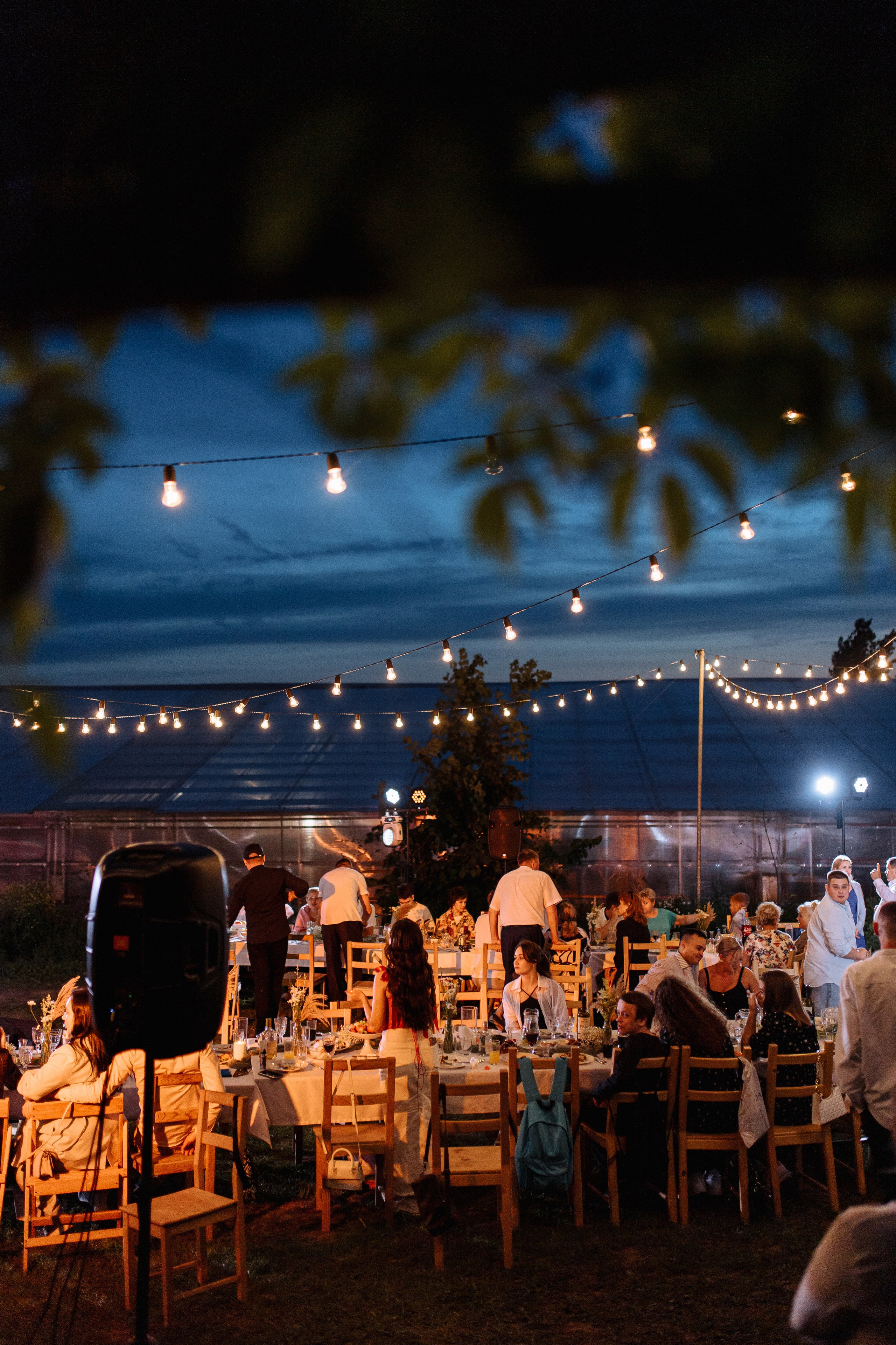 Свадебный репортаж. Свадебный и Репортажный фотограф Александр Шаров