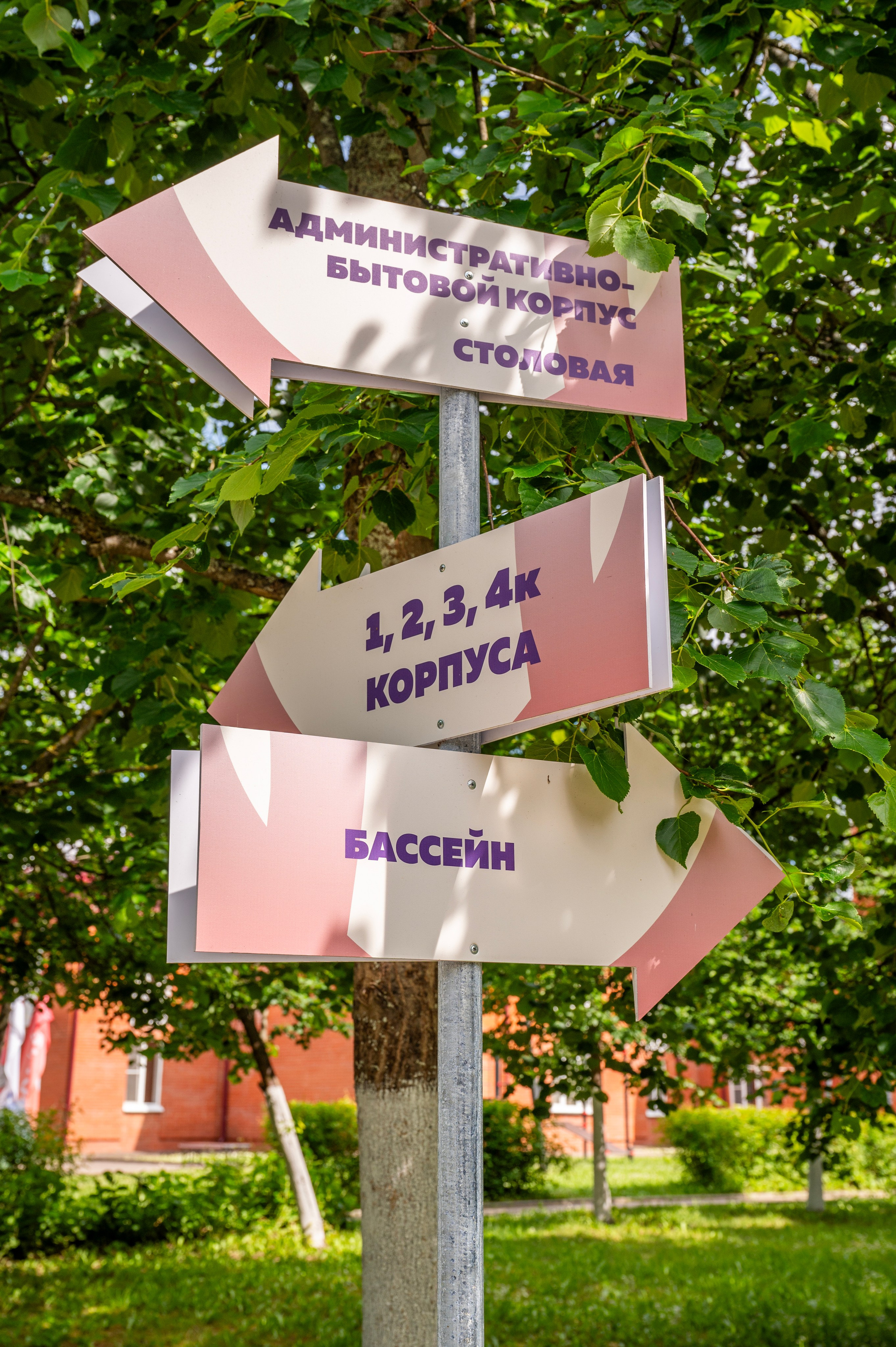 Летний детский лагерь «Литвиново». Фотограф Анна Мельникова | Москва