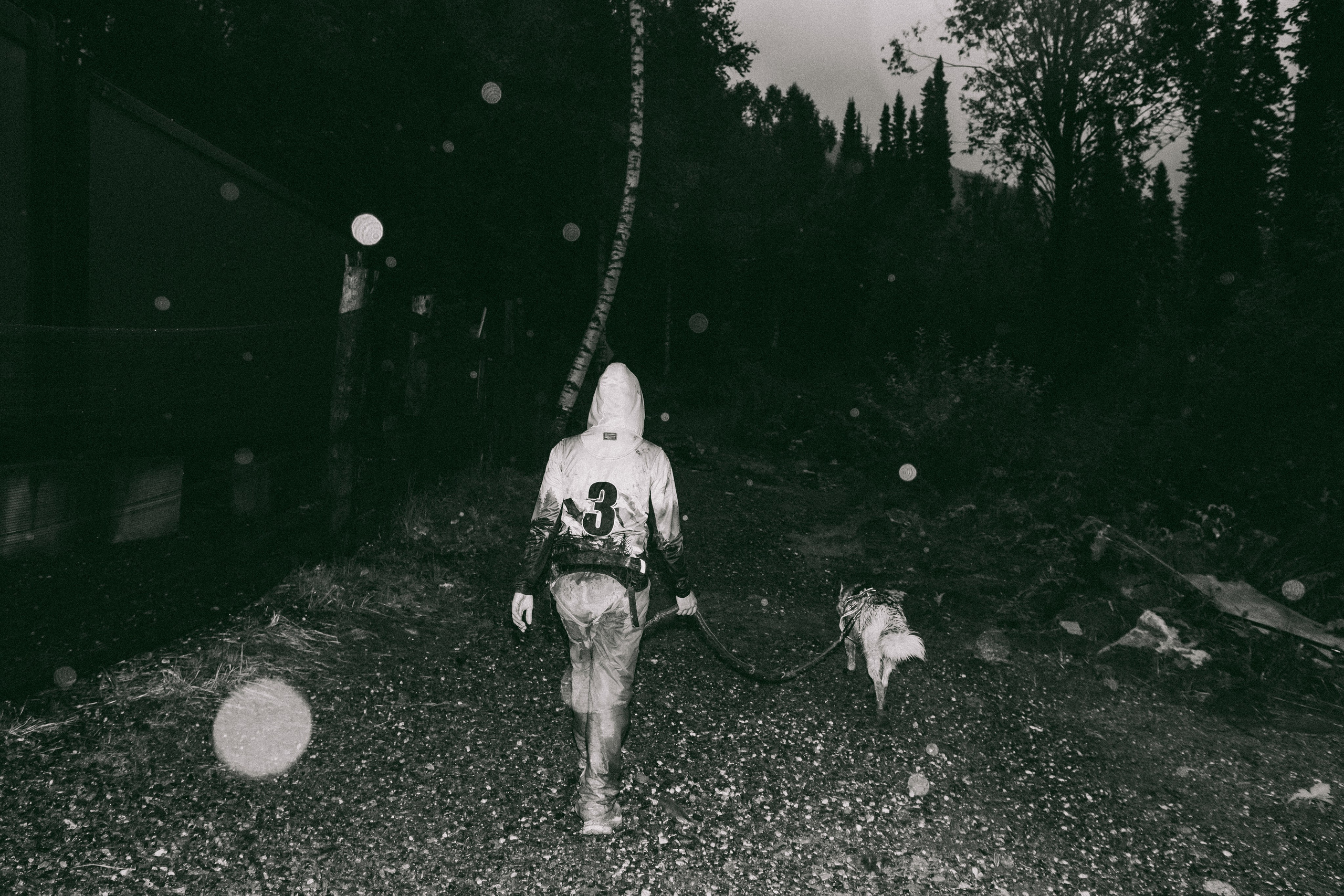 Дог-треккинг