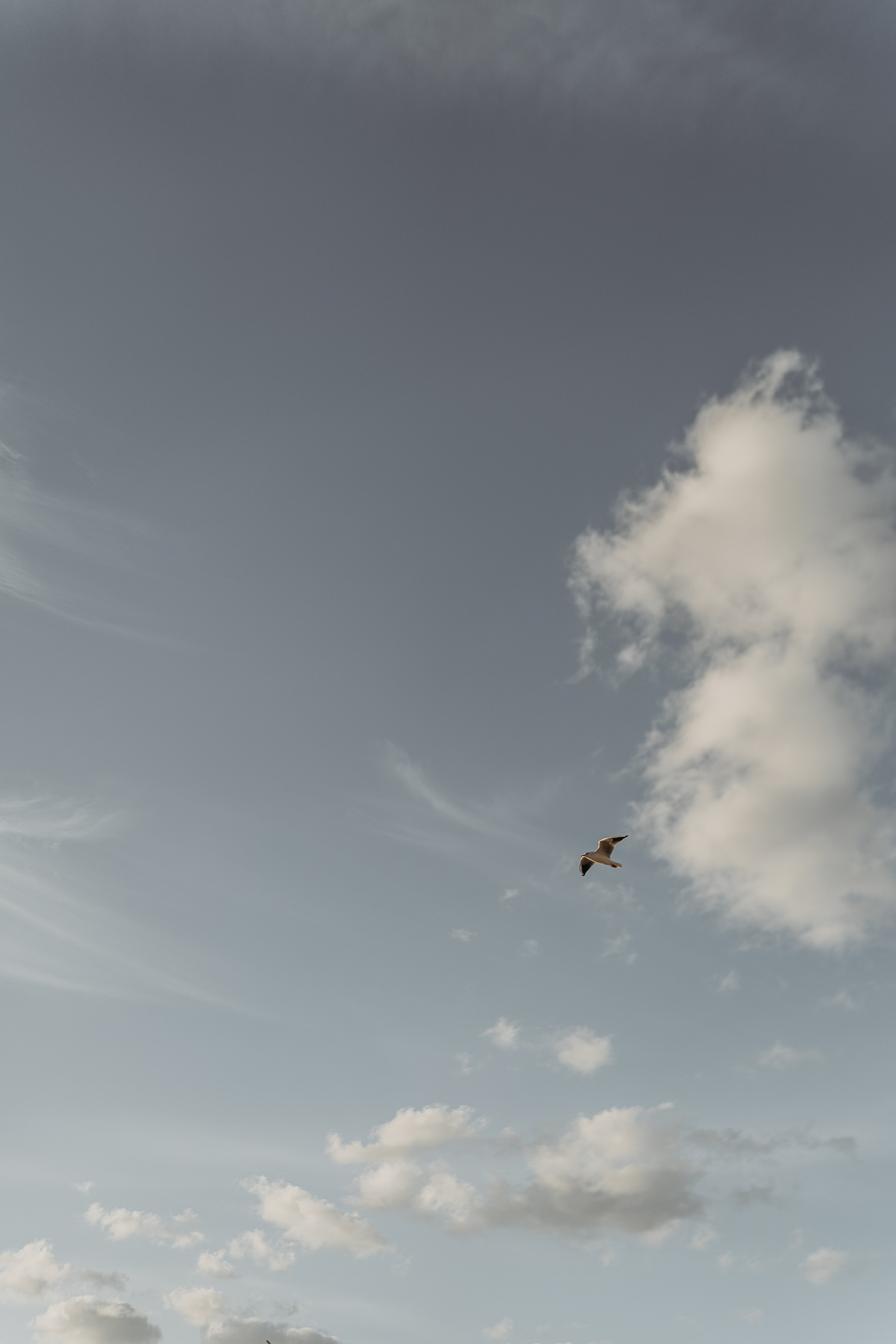 Анна, Ваня и Федя. Семейный и домашний фотограф в Уфе Ирина Гарасюта