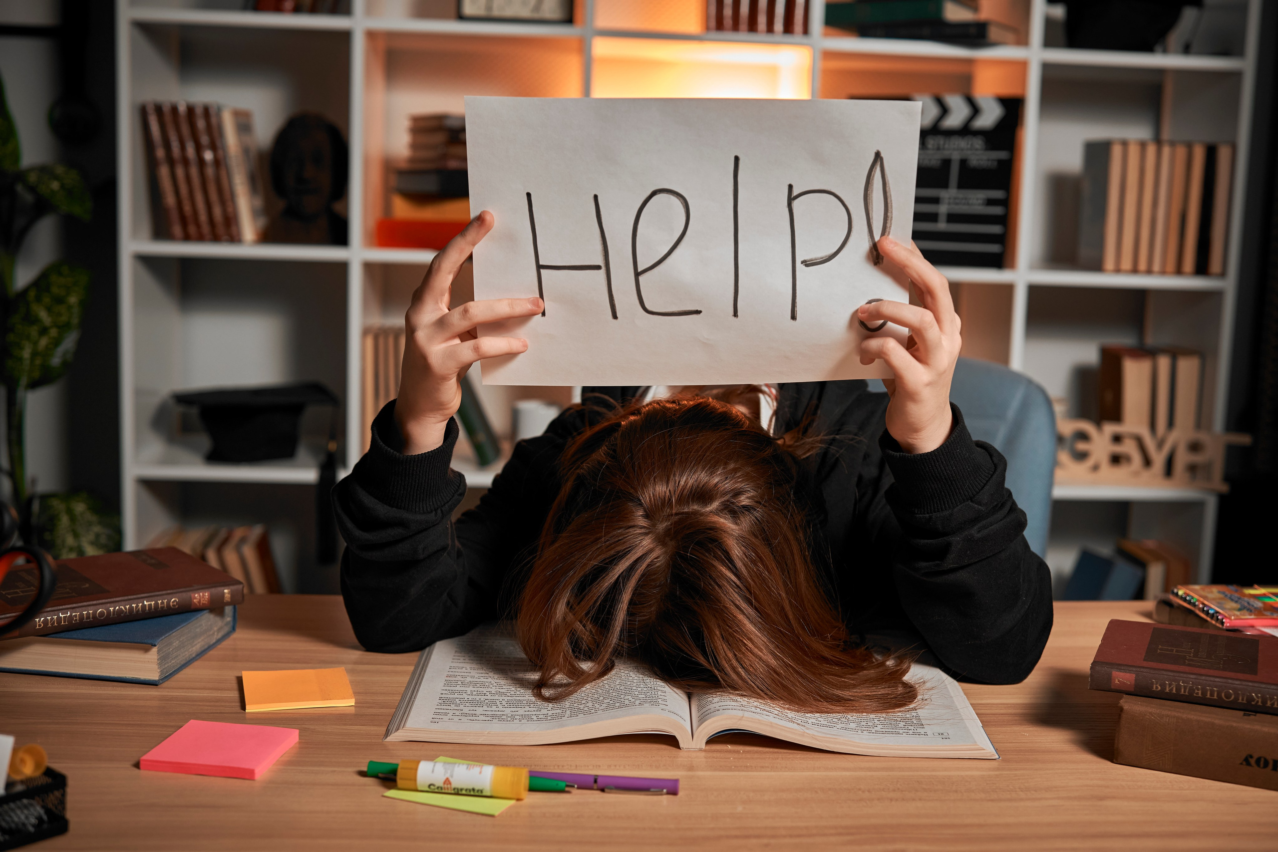 УЧЕБНЫЙ ЦЕНТР. Николай Большаков