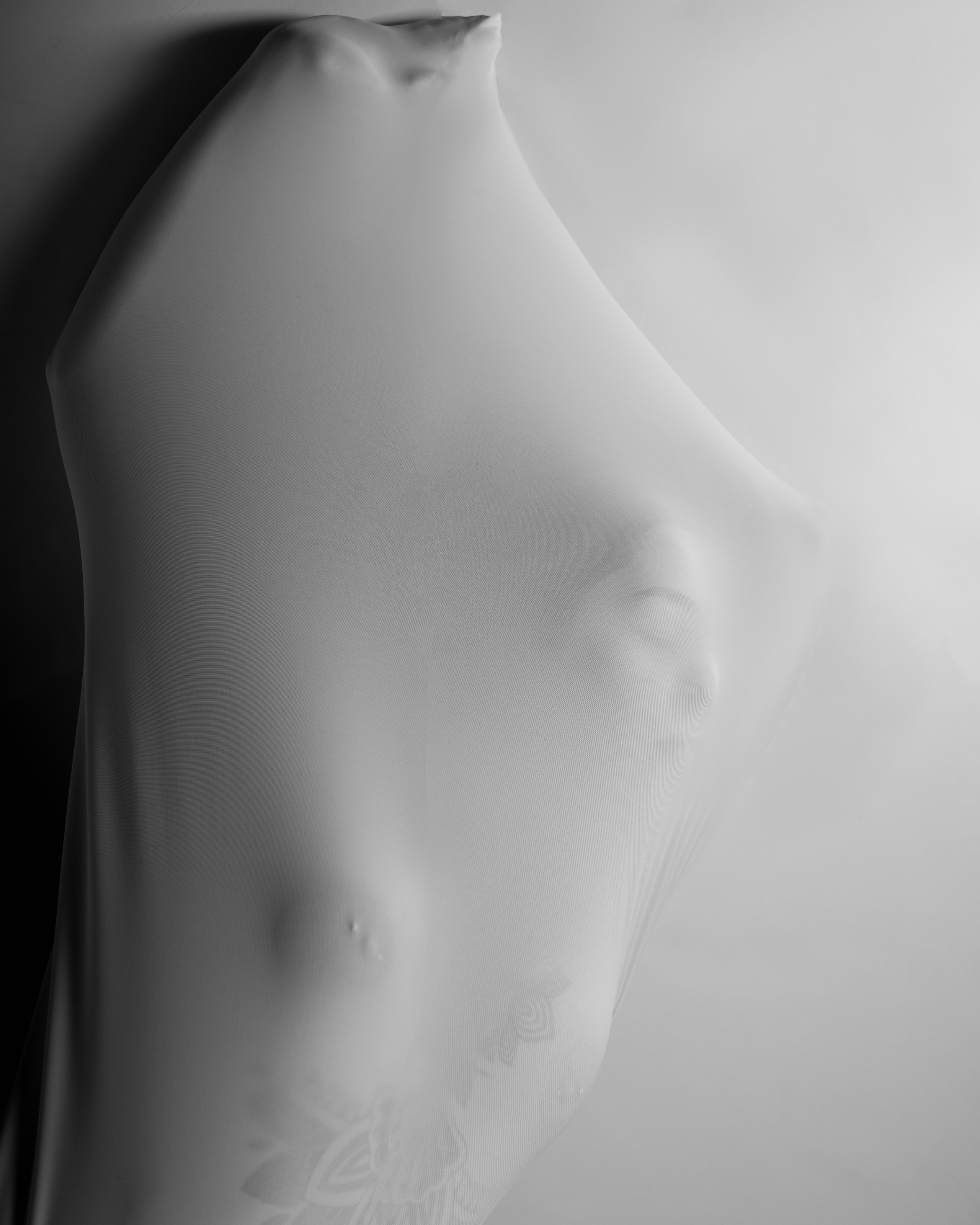 Эмоции. Belichev45foto.ru