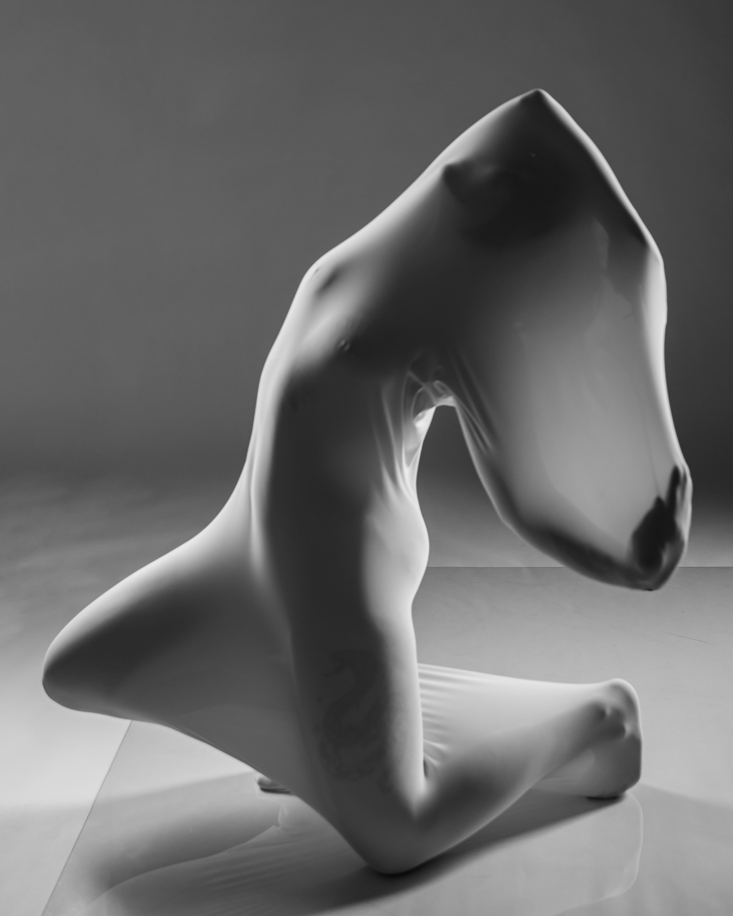 Эмоции. Belichev45foto.ru