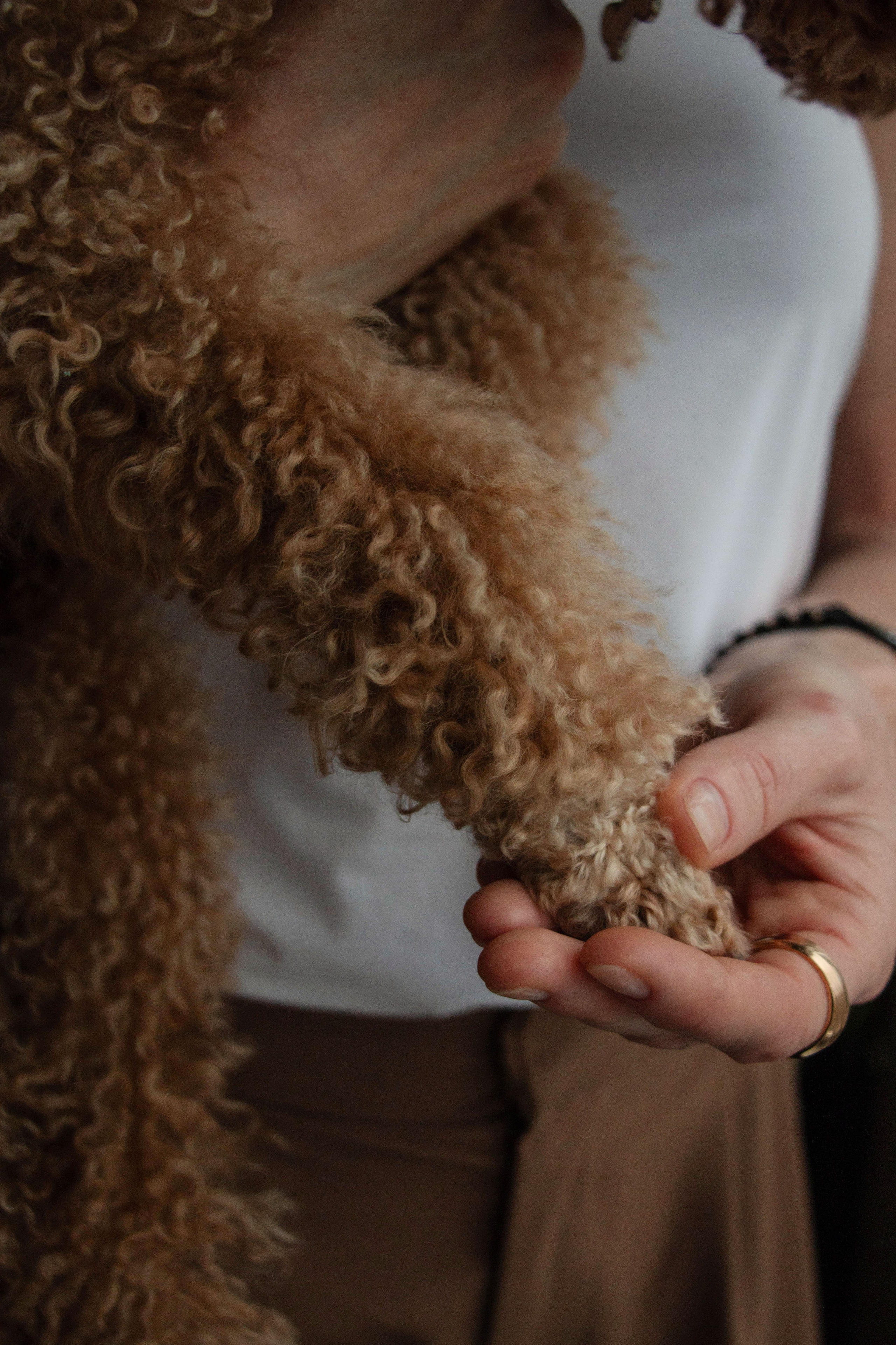 Olga & Eric. Бережно сохраняю ваши чувства и истории на своих фотографиях