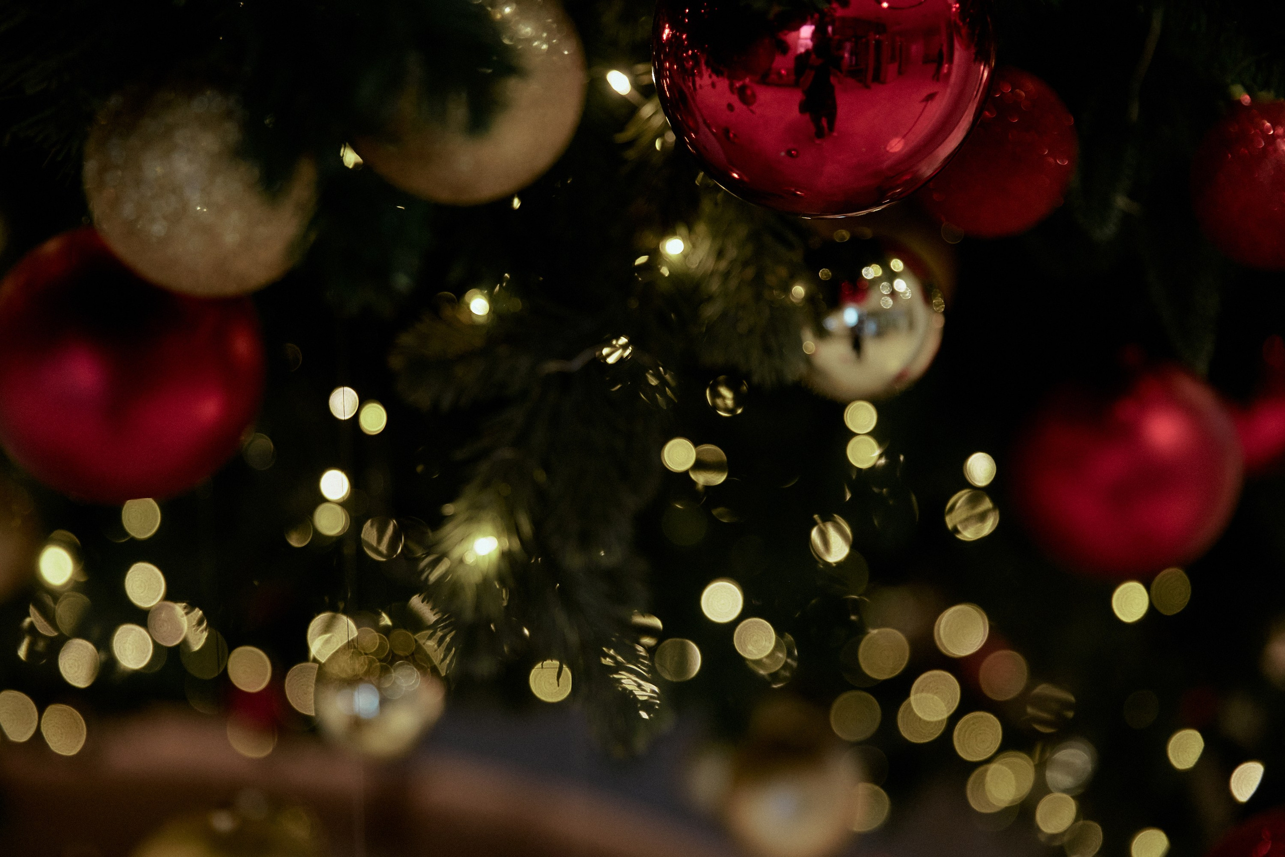 АВАЛОН. Happy New Year. Дмитрий Мазуркевич: Профессиональный Репортажный Фотограф