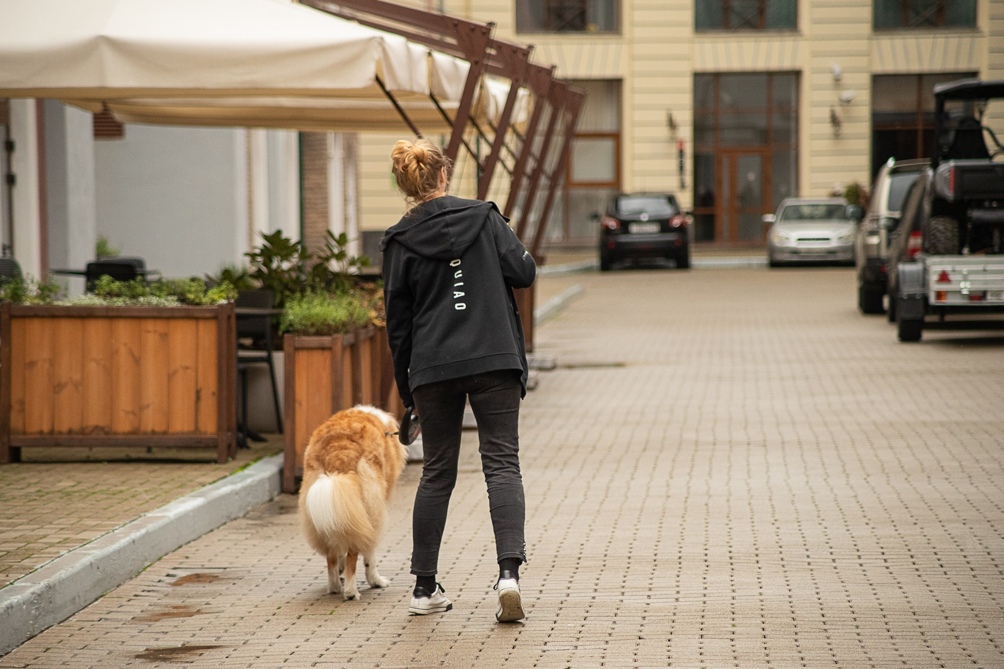 Терри, метис. Ирина Голомб|Фотограф-анималист в  Сочи и Калининграде