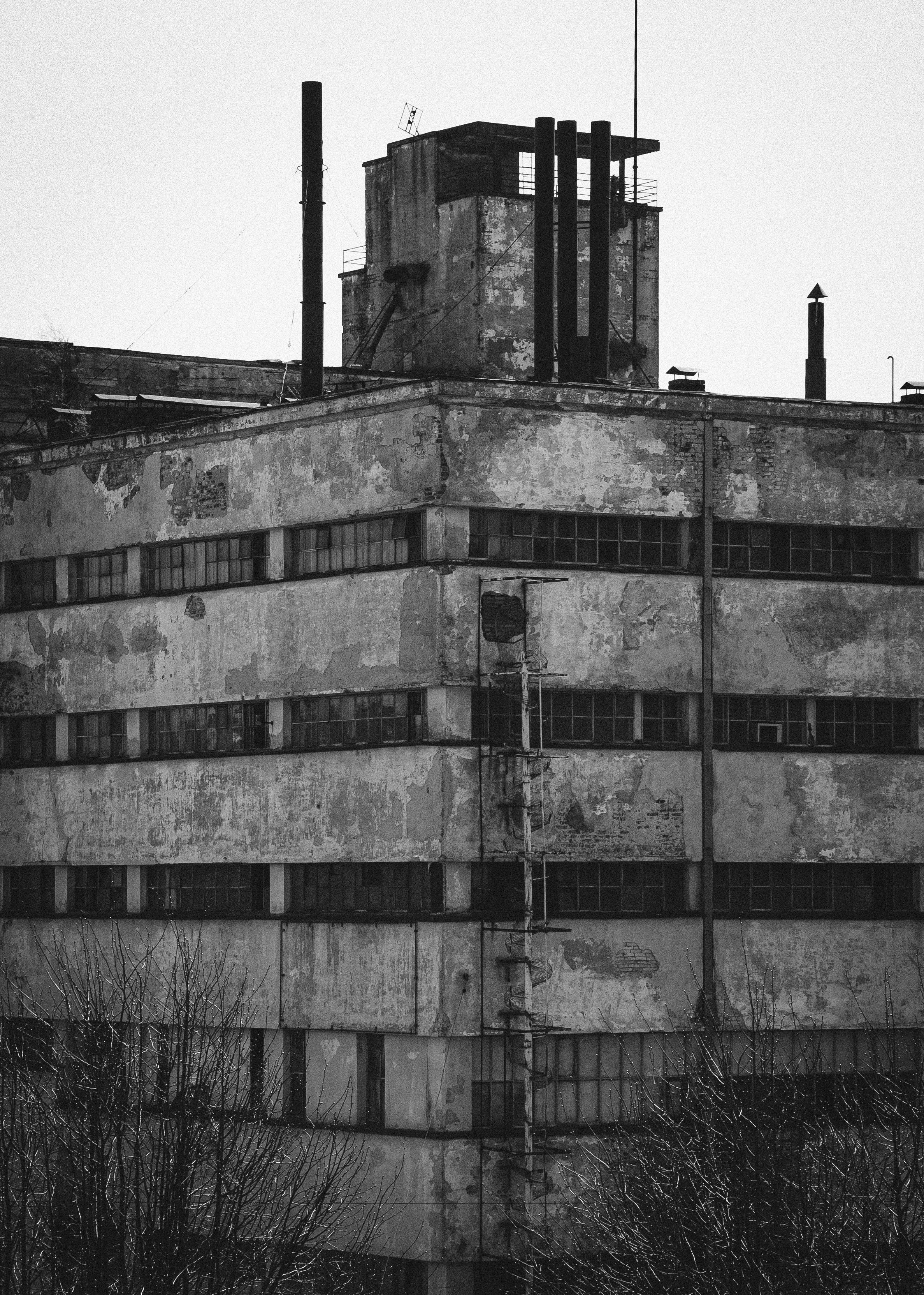 Выборг. Портретный фотограф DanilNabody