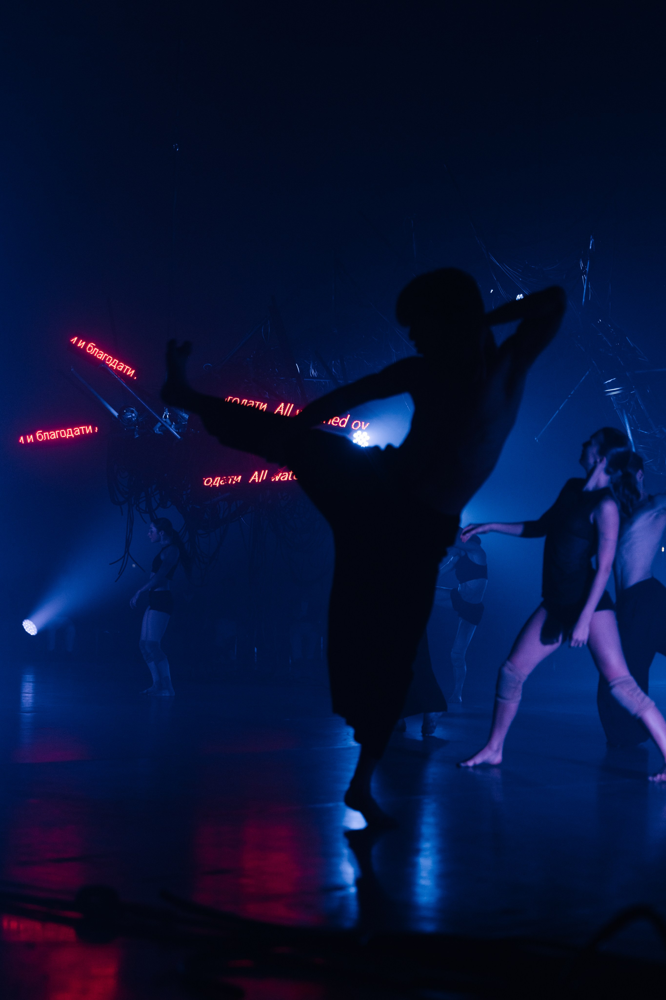 PERFORMA, The Hour of the Horse. @tomrus: Рустам Шагиморданов — фотограф