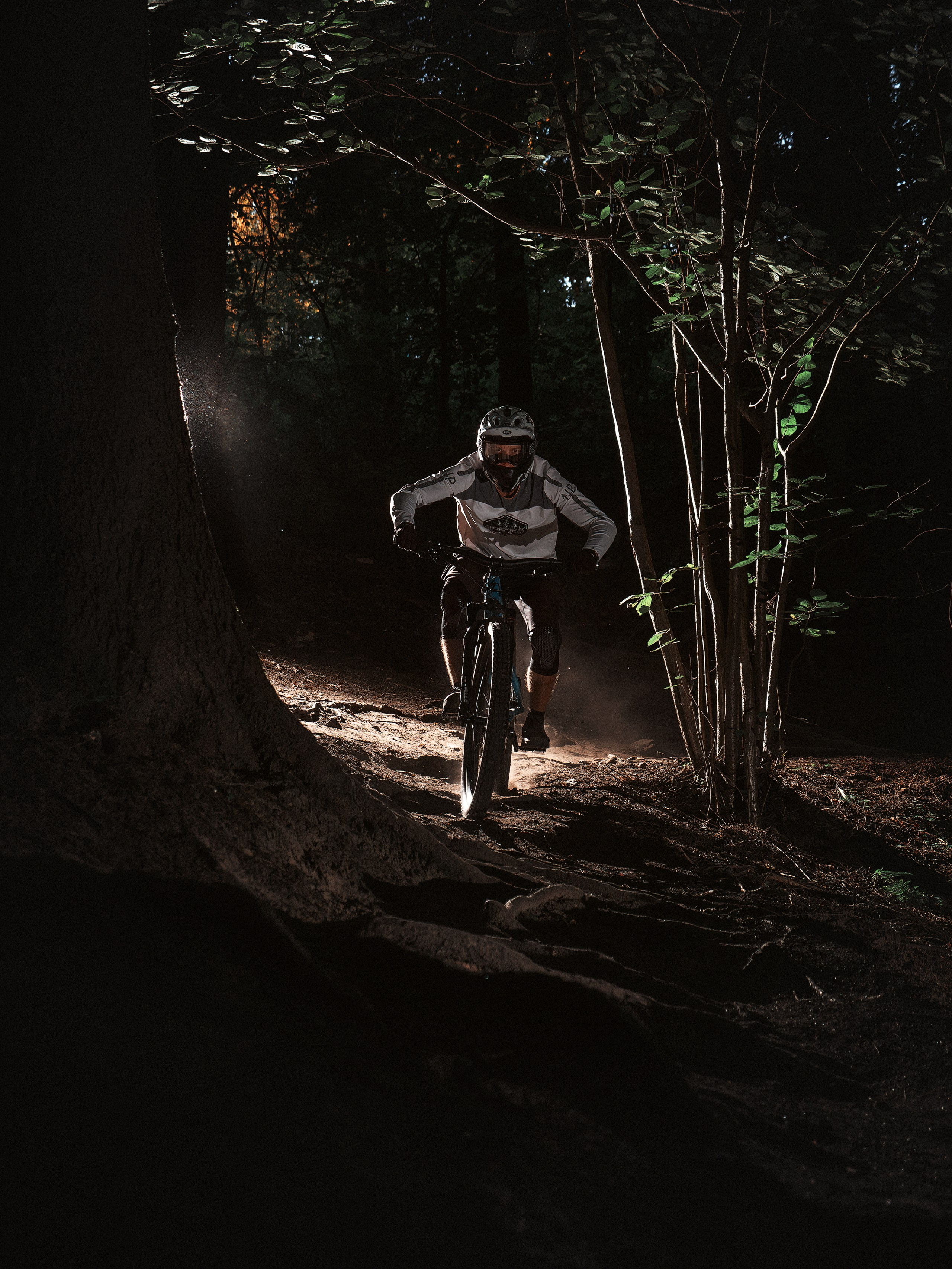 Александр. Фотограф анималист Никита Натальный