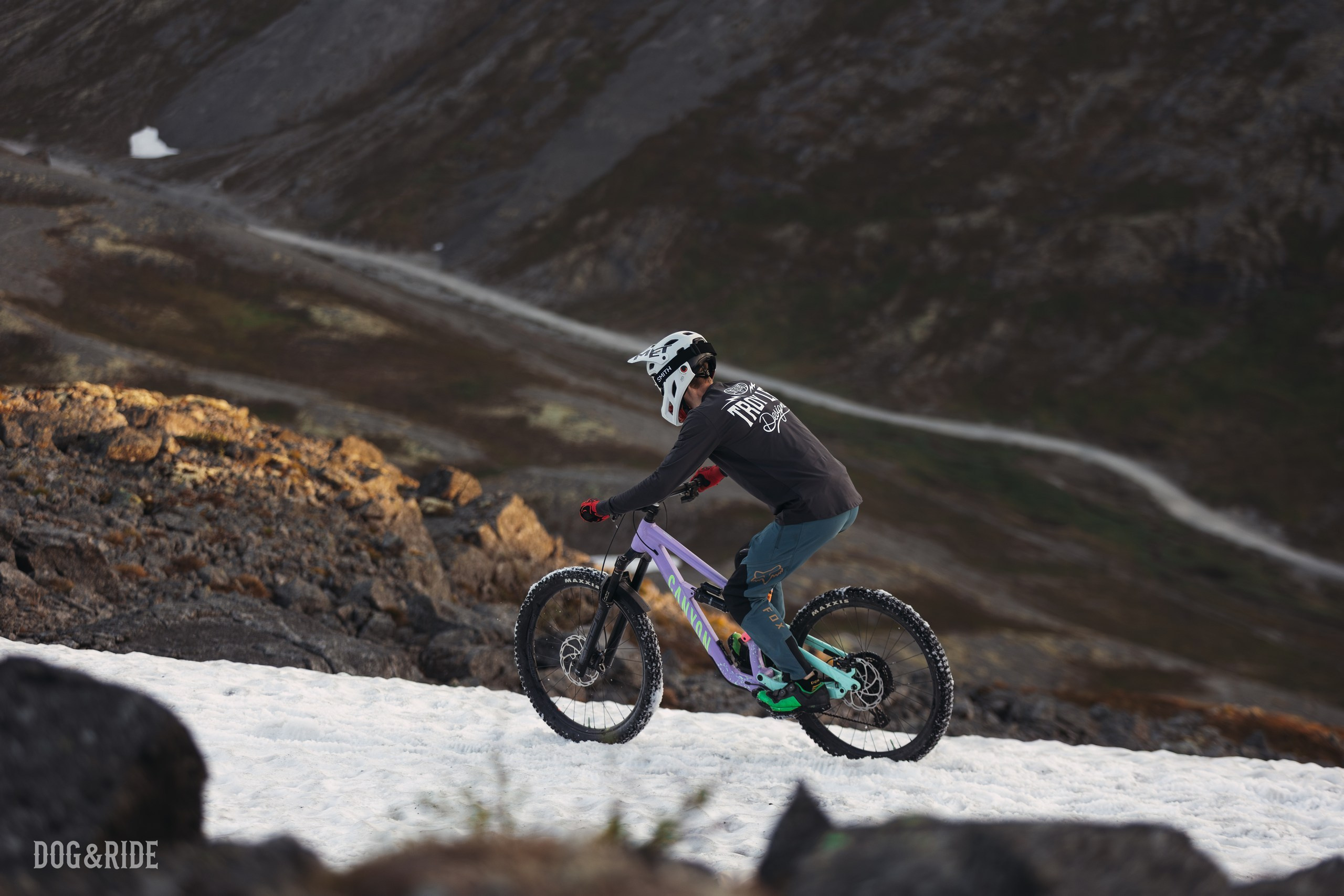 Хибины. Фотограф анималист Никита Натальный