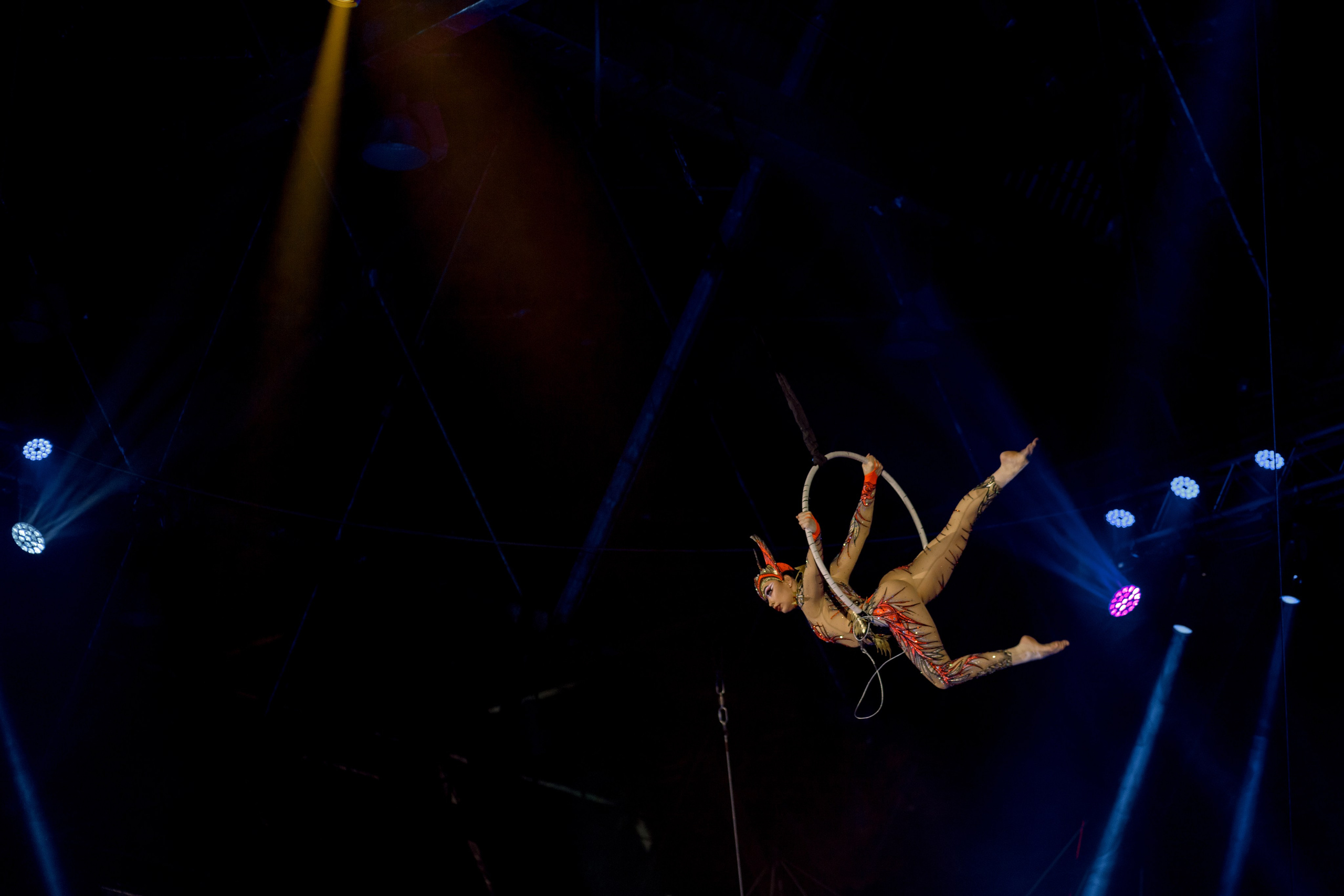 Цирк Moretti в Иркутске. Свадебный фотограф Иркутск, репортажный фотограф Иркутск