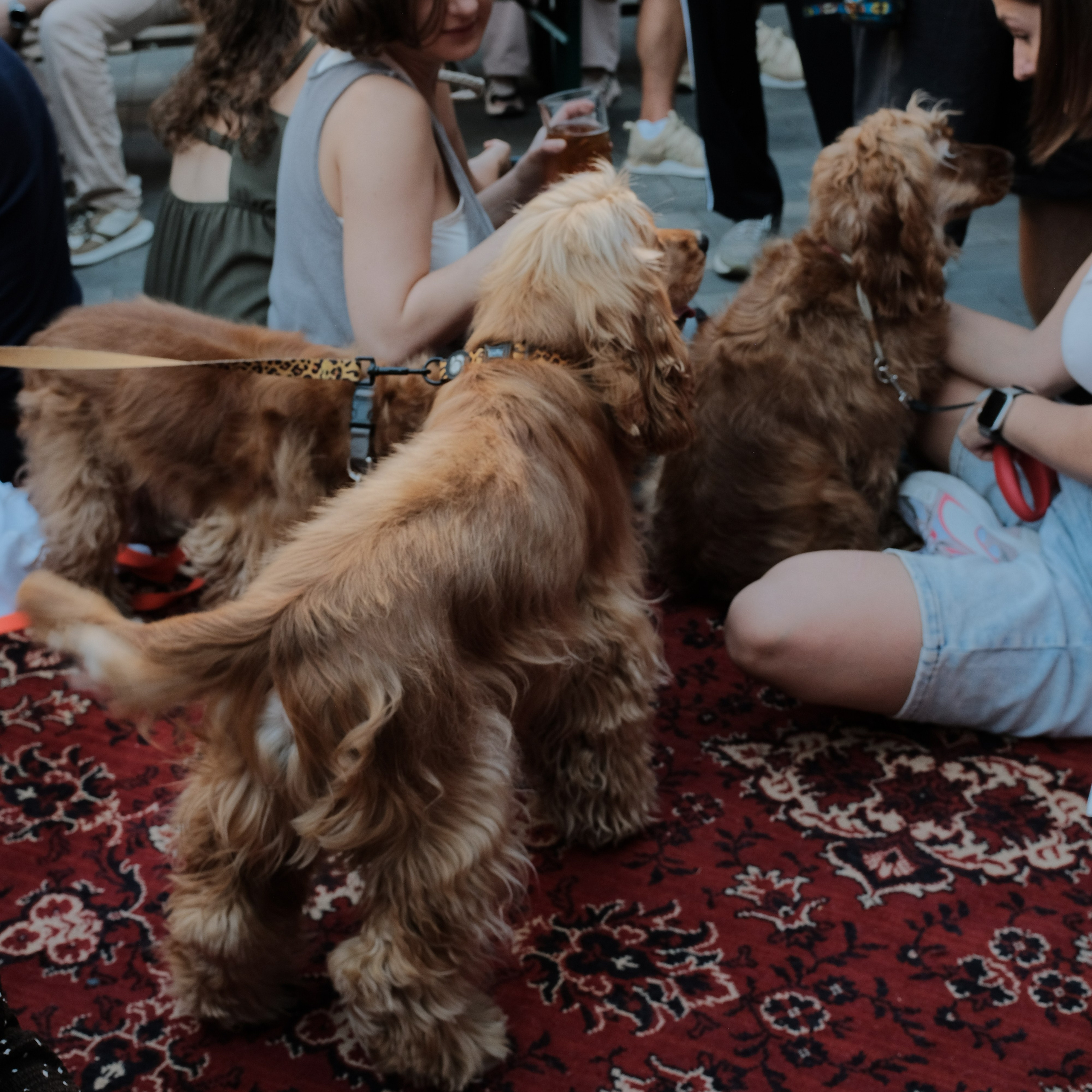 Rostov-on-Don. Creative travel photographer — Berg Daria