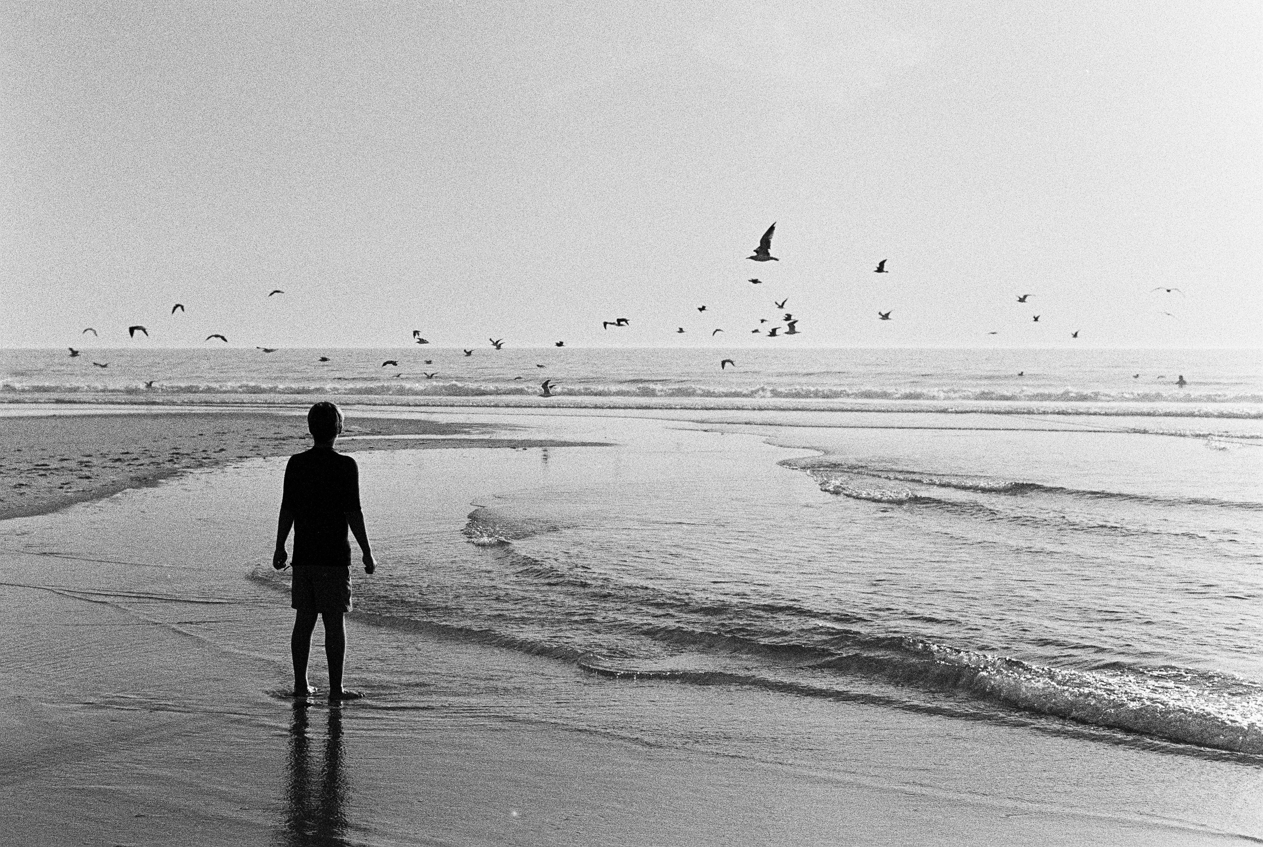 Fine art. Katya Zimina, film photographer