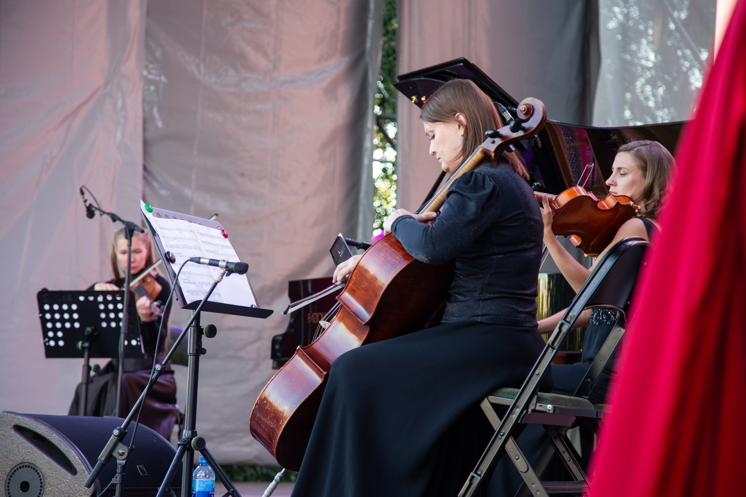 Венский фестиваль. Главная