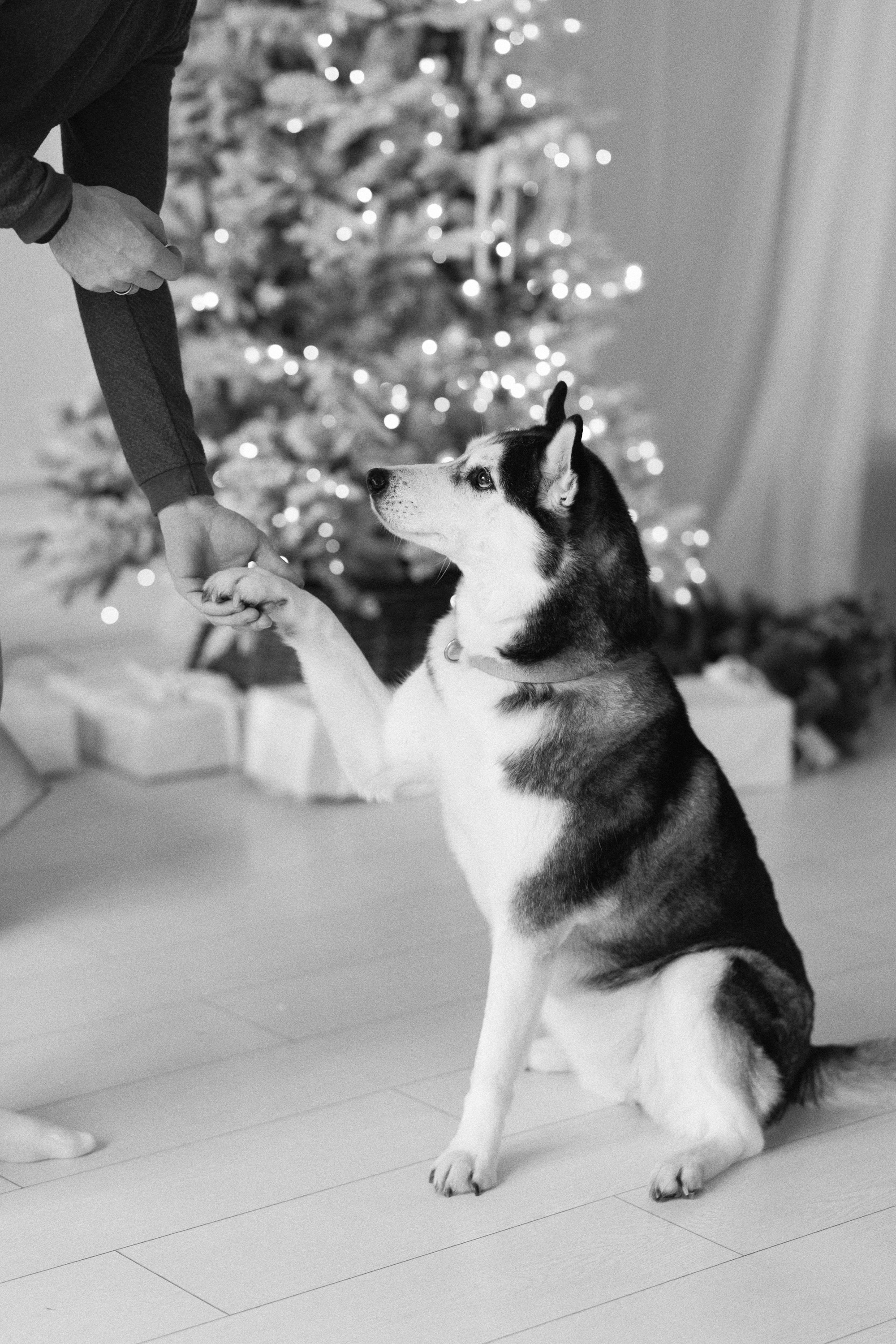 FAMILY. Maria Startseva Photo