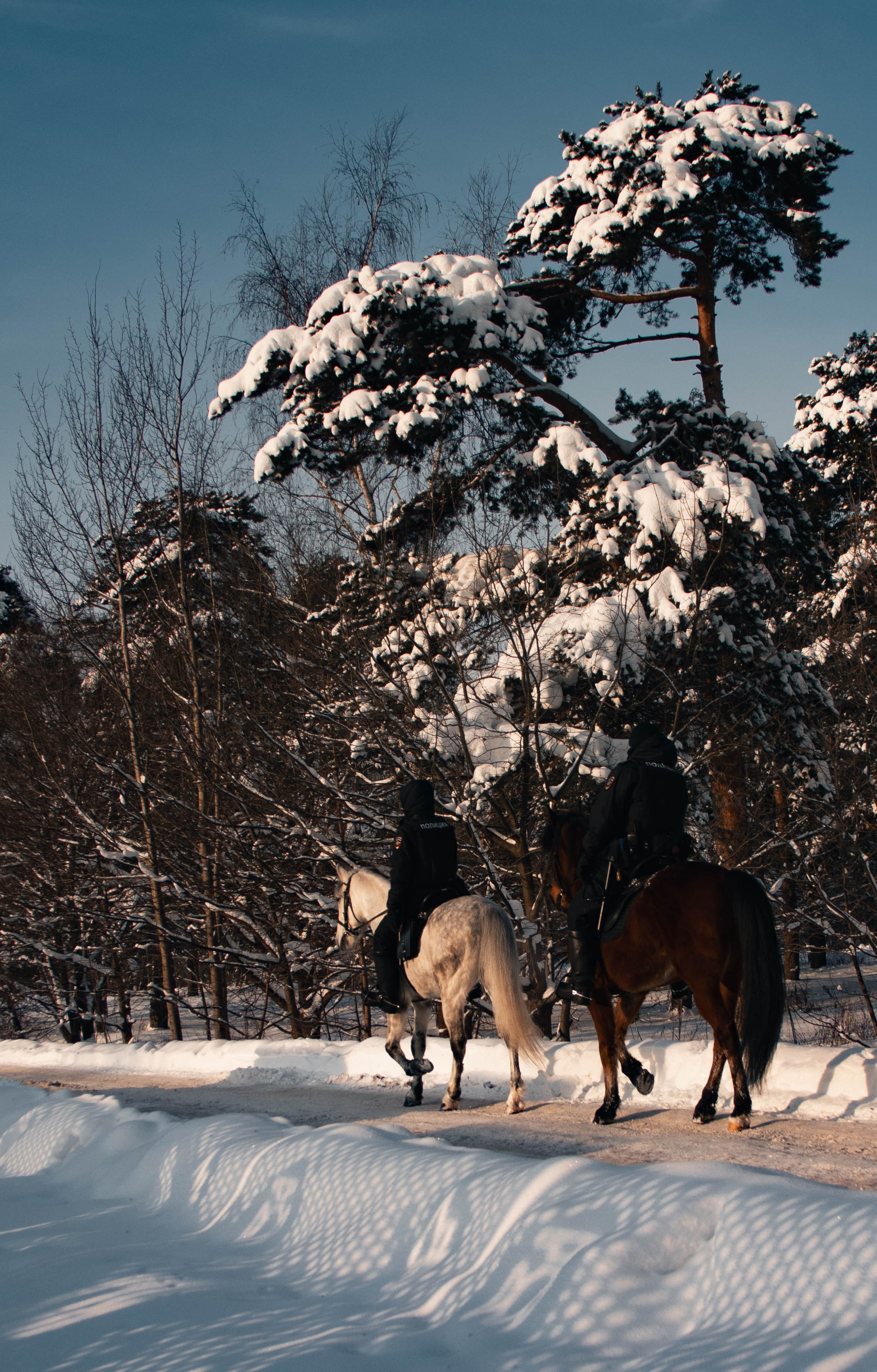 Стрит. Фотограф и кожевник Кирилл Удалов