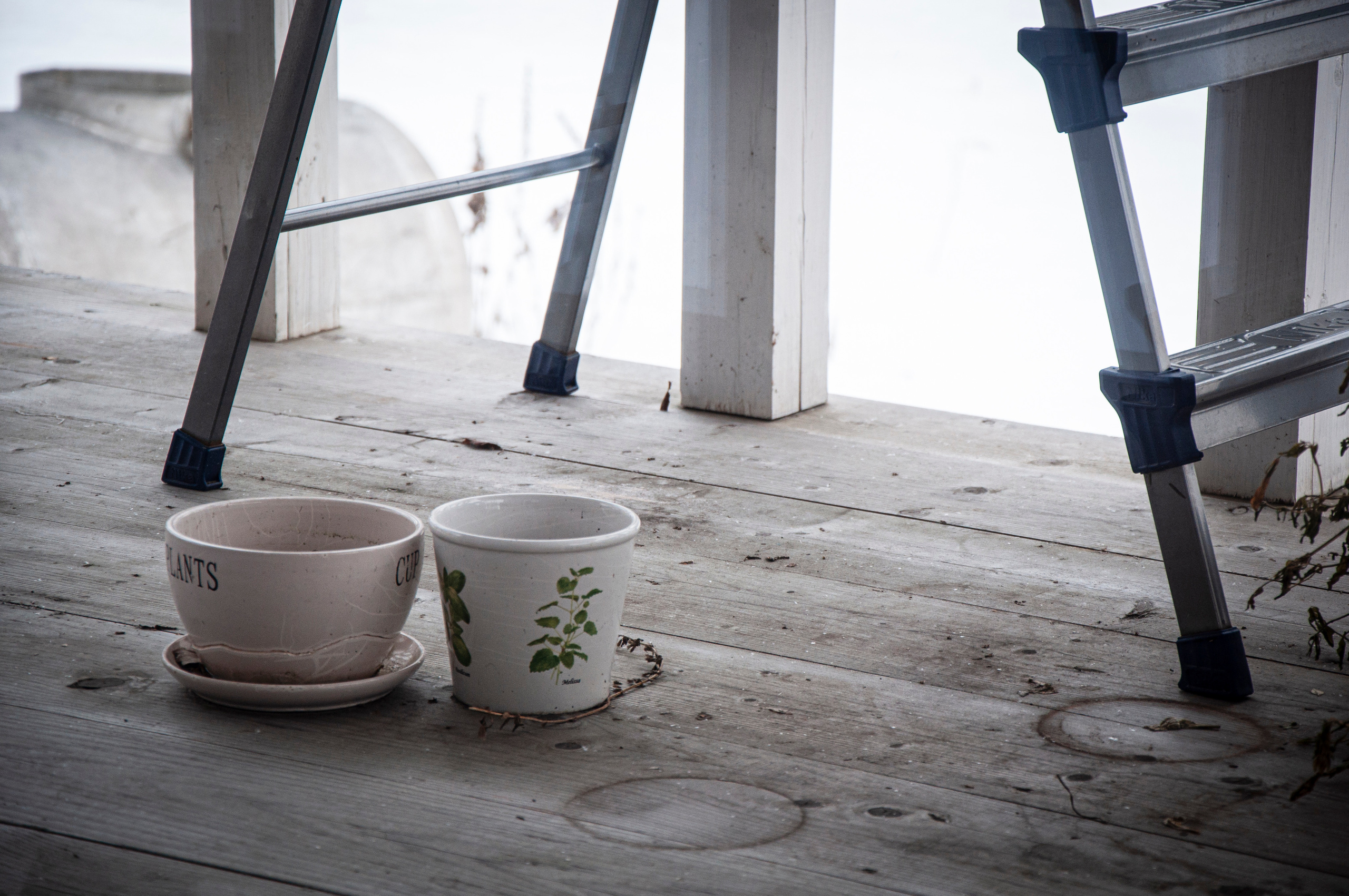 Ульянин дом, Мещера. Коммерческие и индивидуальные съёмки