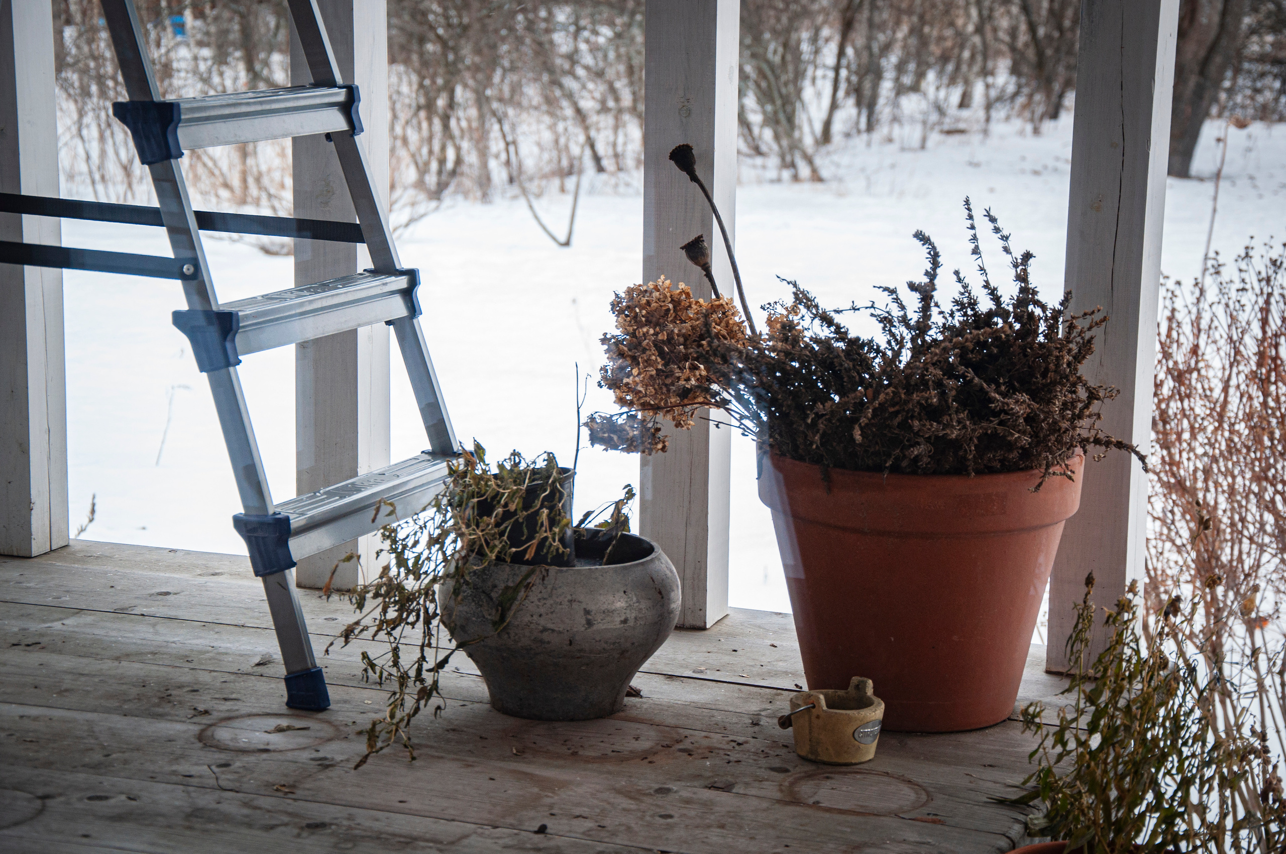 Ульянин дом, Мещера. Коммерческие и индивидуальные съёмки