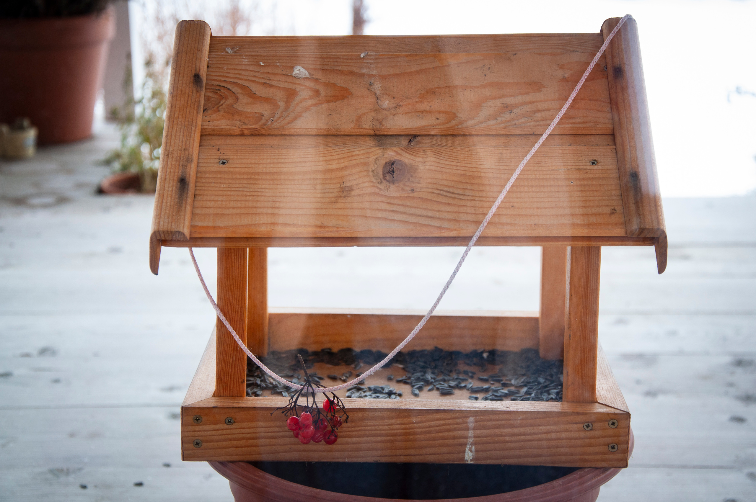 Ульянин дом, Мещера. Коммерческие и индивидуальные съёмки