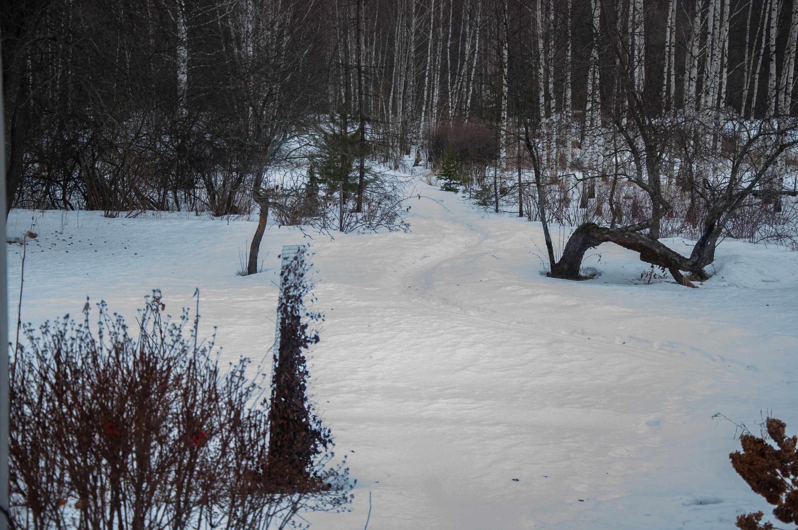 Ульянин дом, Мещера. Коммерческие и индивидуальные съёмки