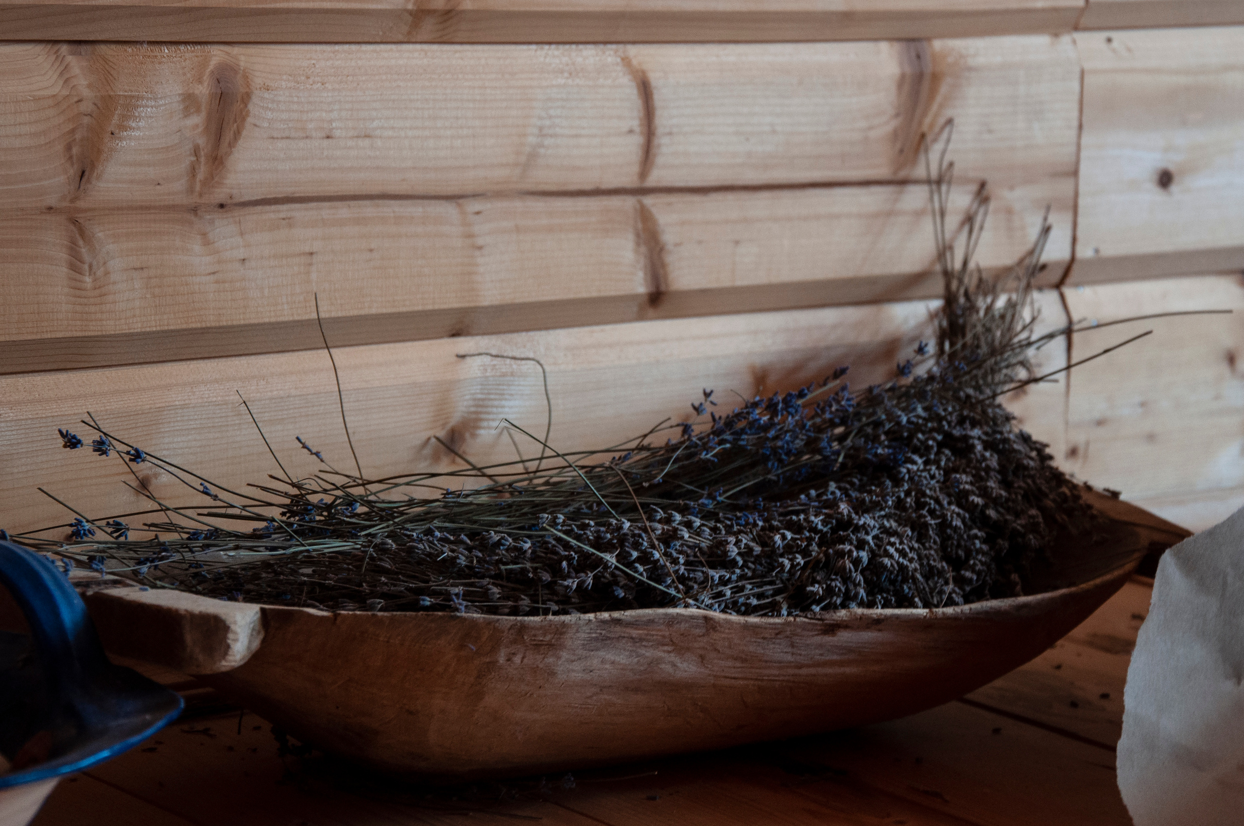 Ульянин дом, Мещера. Коммерческие и индивидуальные съёмки