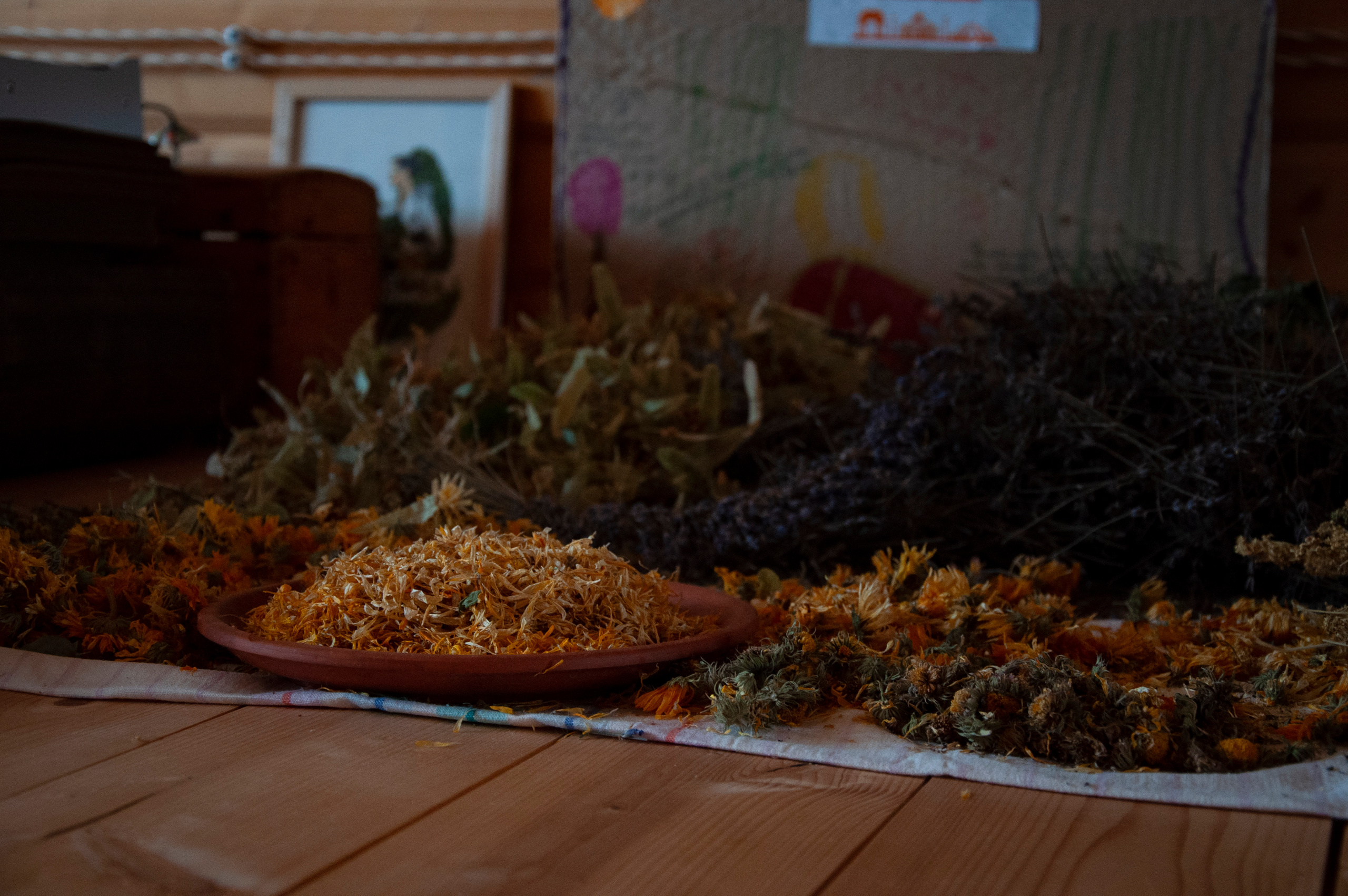 Ульянин дом, Мещера. Коммерческие и индивидуальные съёмки