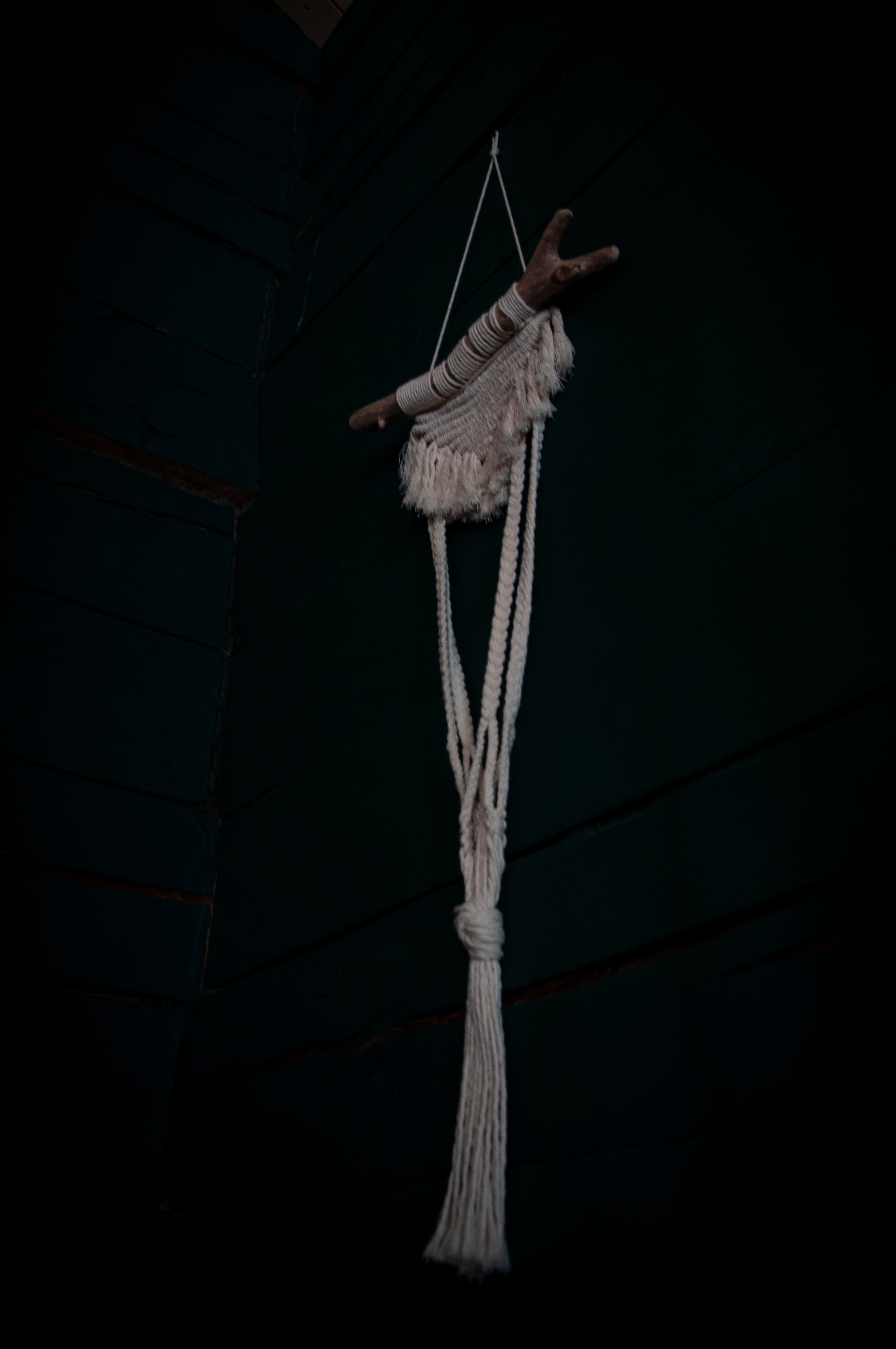 Ульянин дом, Мещера. Коммерческие и индивидуальные съёмки