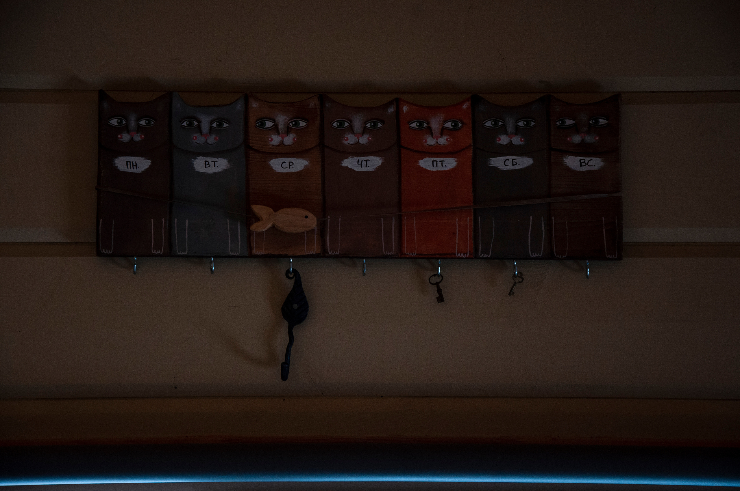 Ульянин дом, Мещера. Коммерческие и индивидуальные съёмки