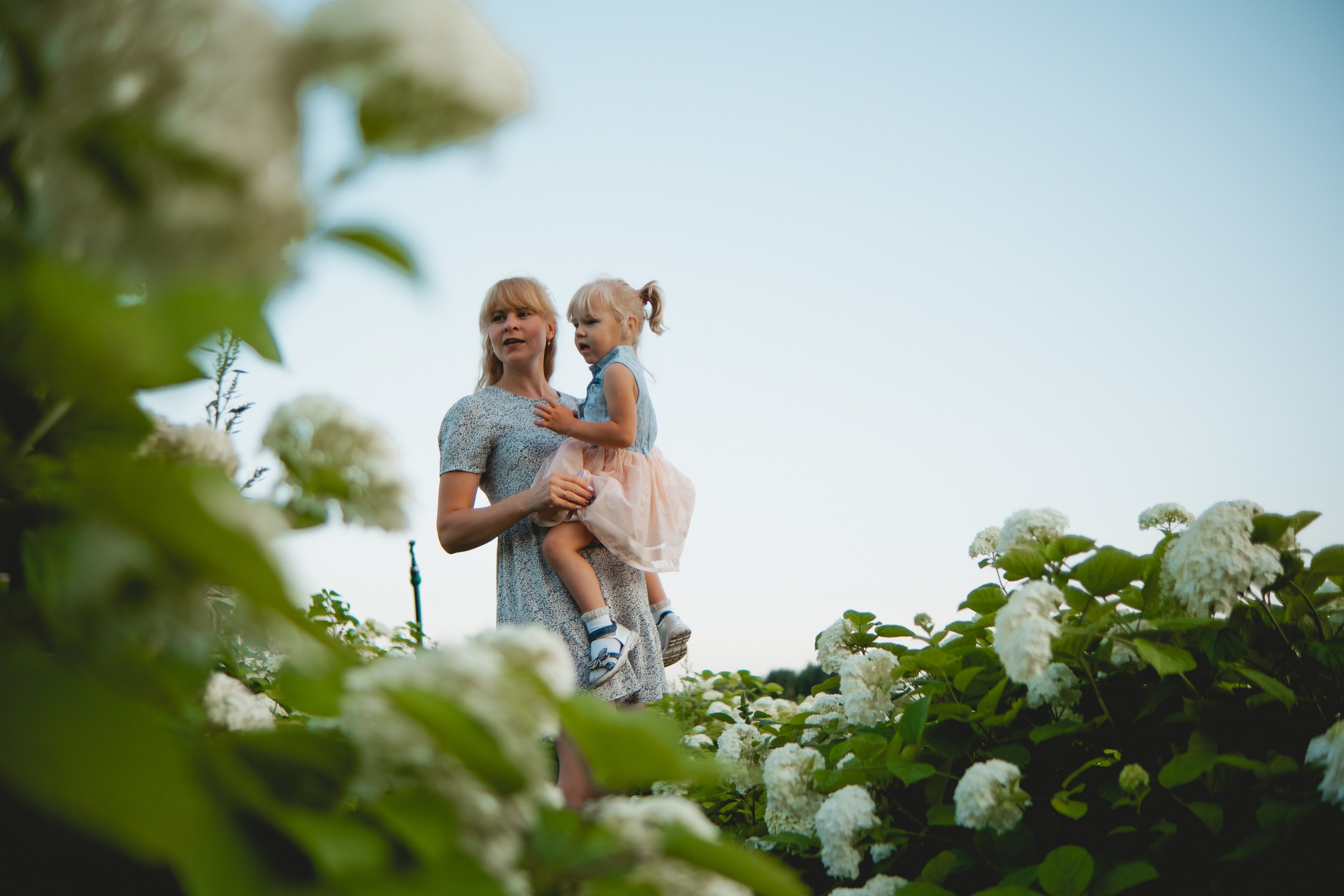 Семейная съемка в лованде. Nattie.ph