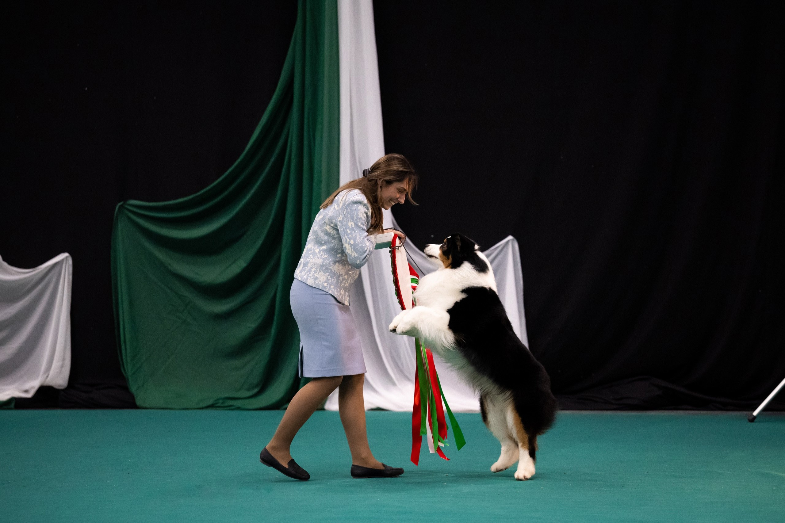 Собаки. FASHION ФОТОГРАФ КАЗАНЬ